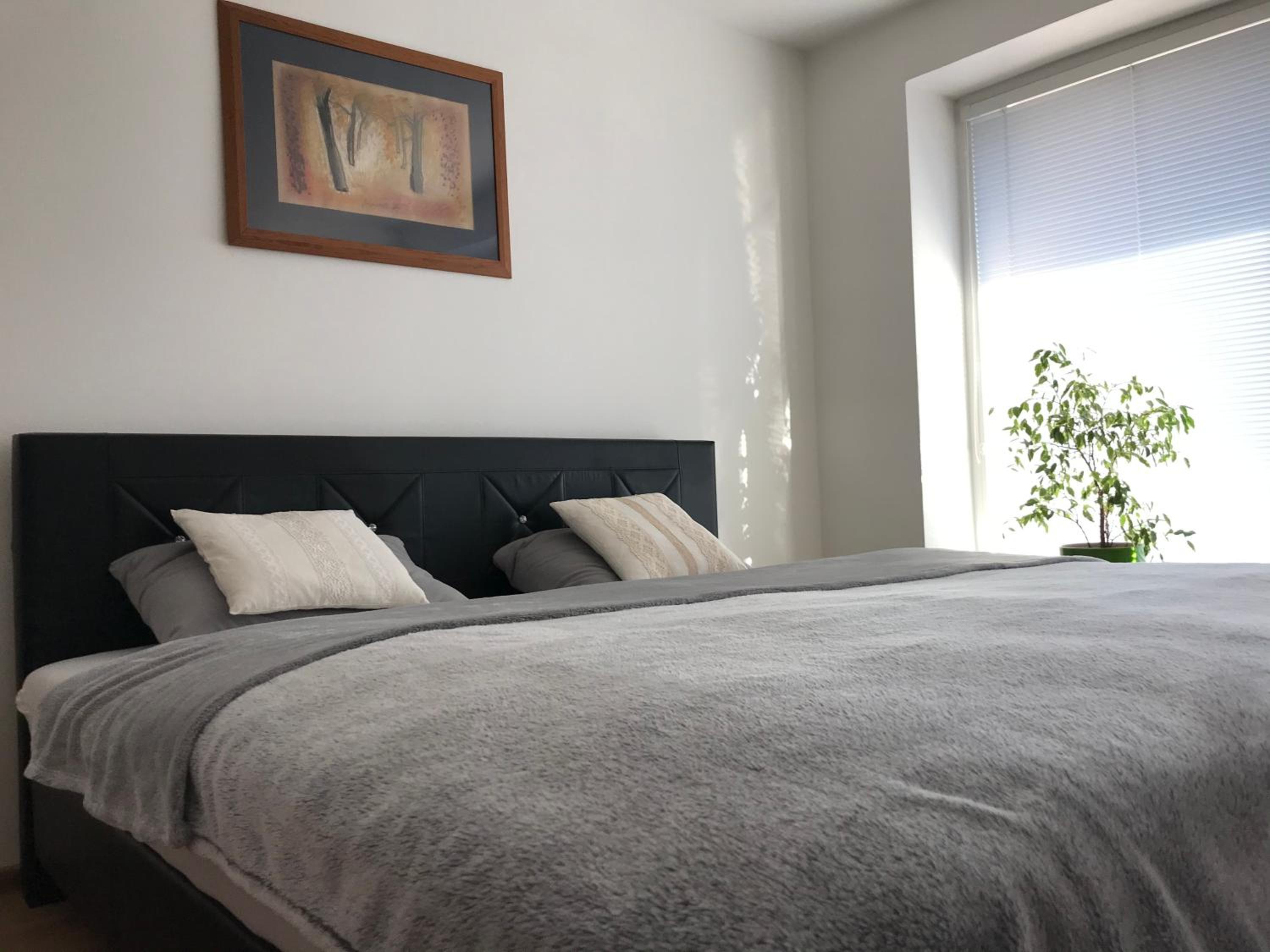 Apartman Emka 2 view 3