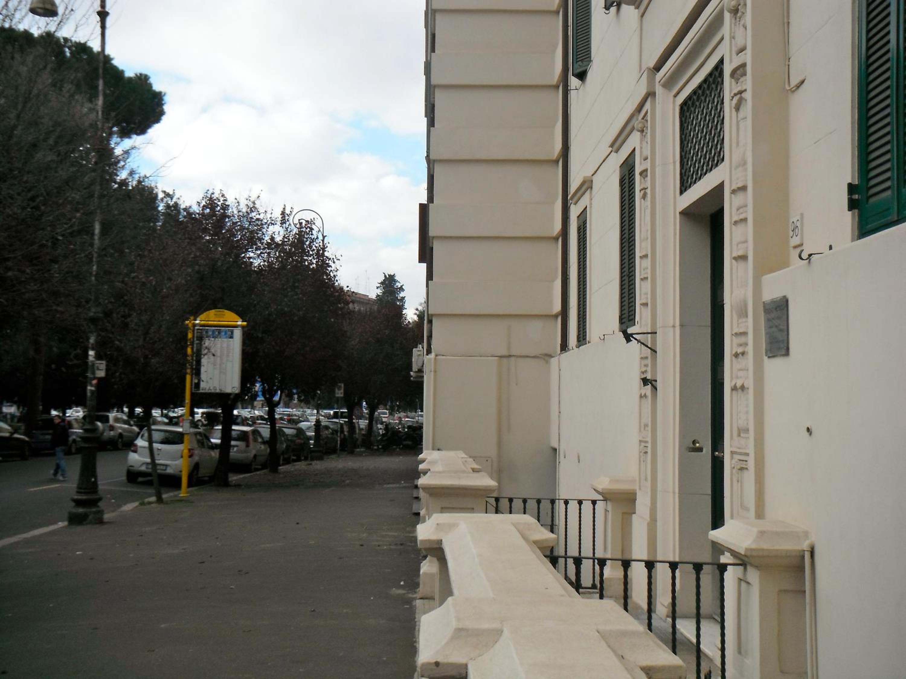 Domi Aloisii