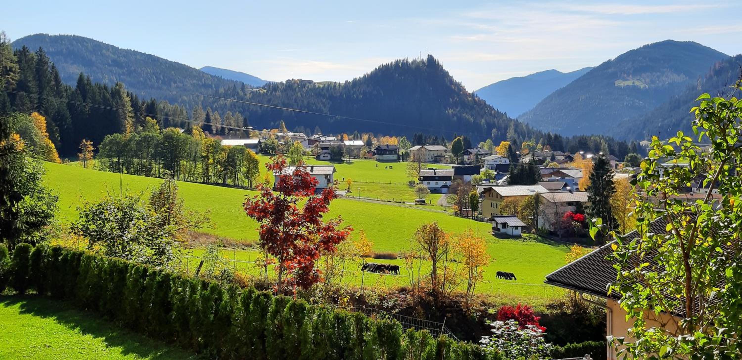 Haus Farmer