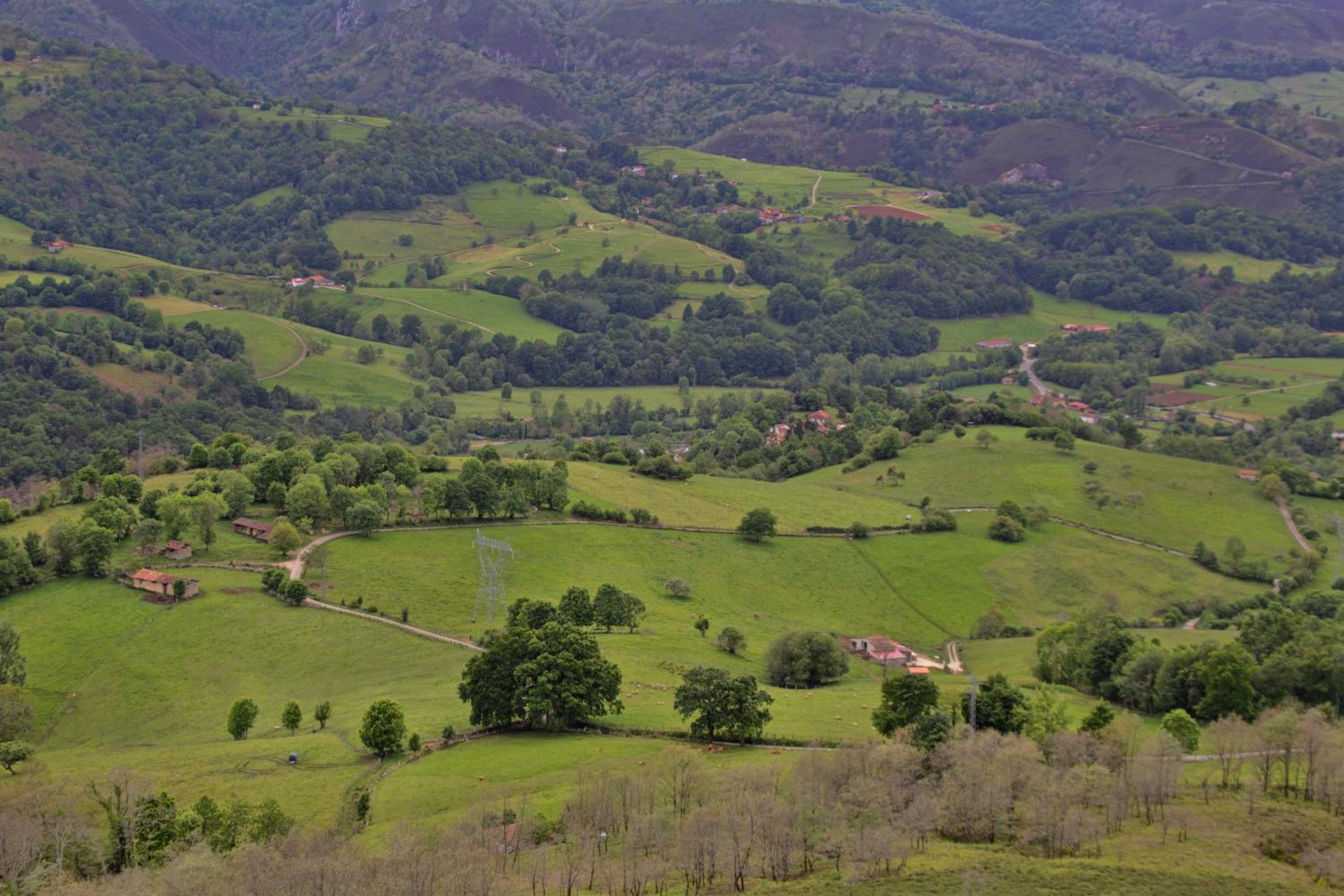 Los Campos Vivienda Vacacional