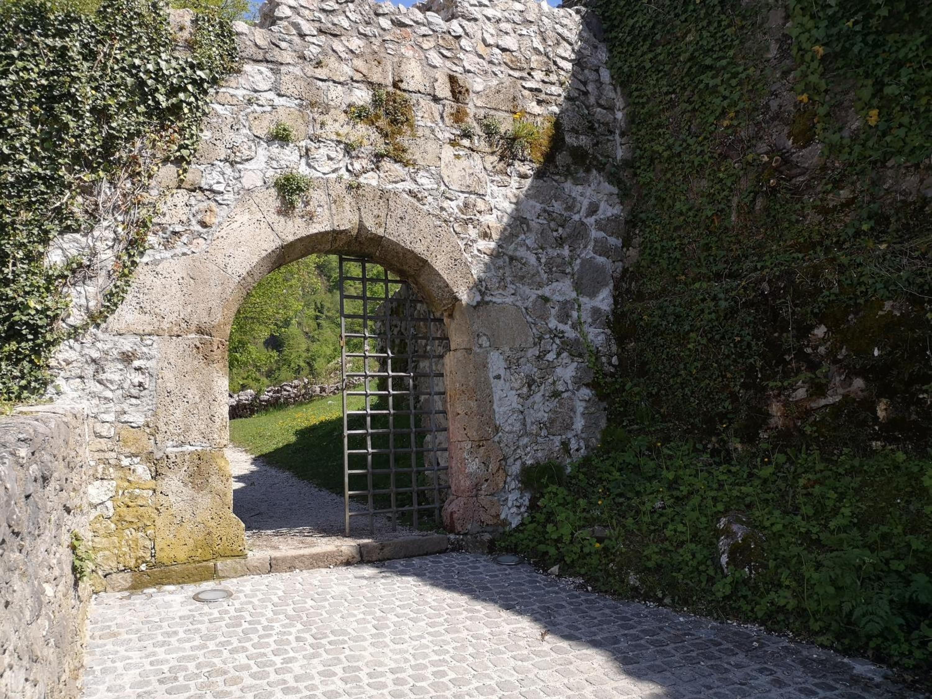 Photo 25