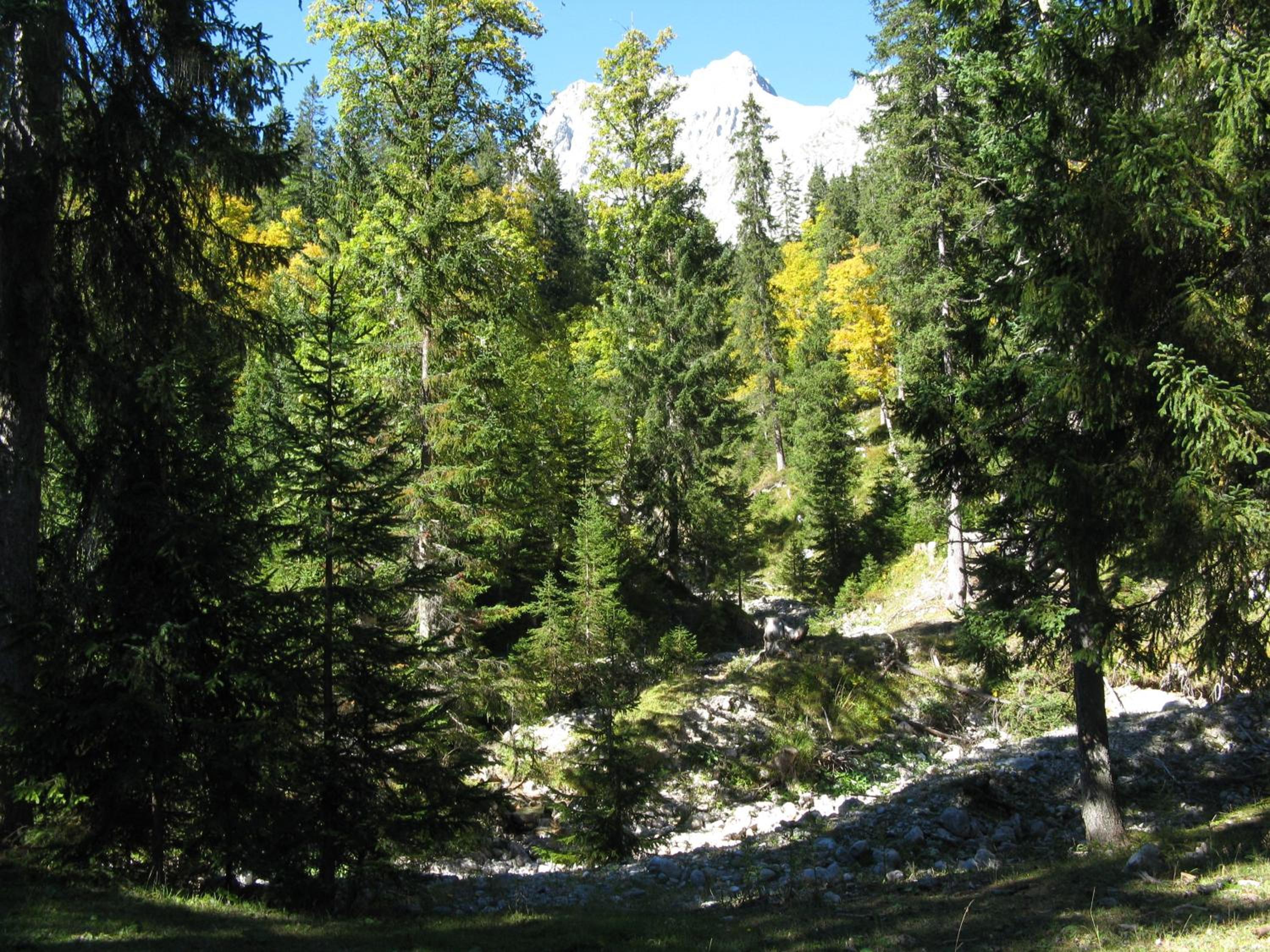 Photo 26