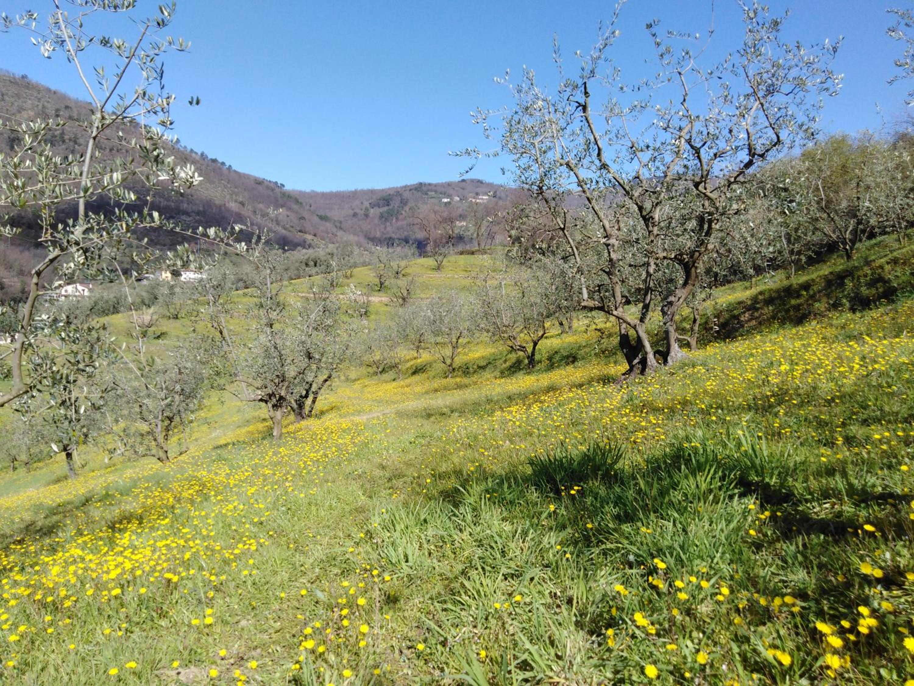 Agriturismo Terrarossa
