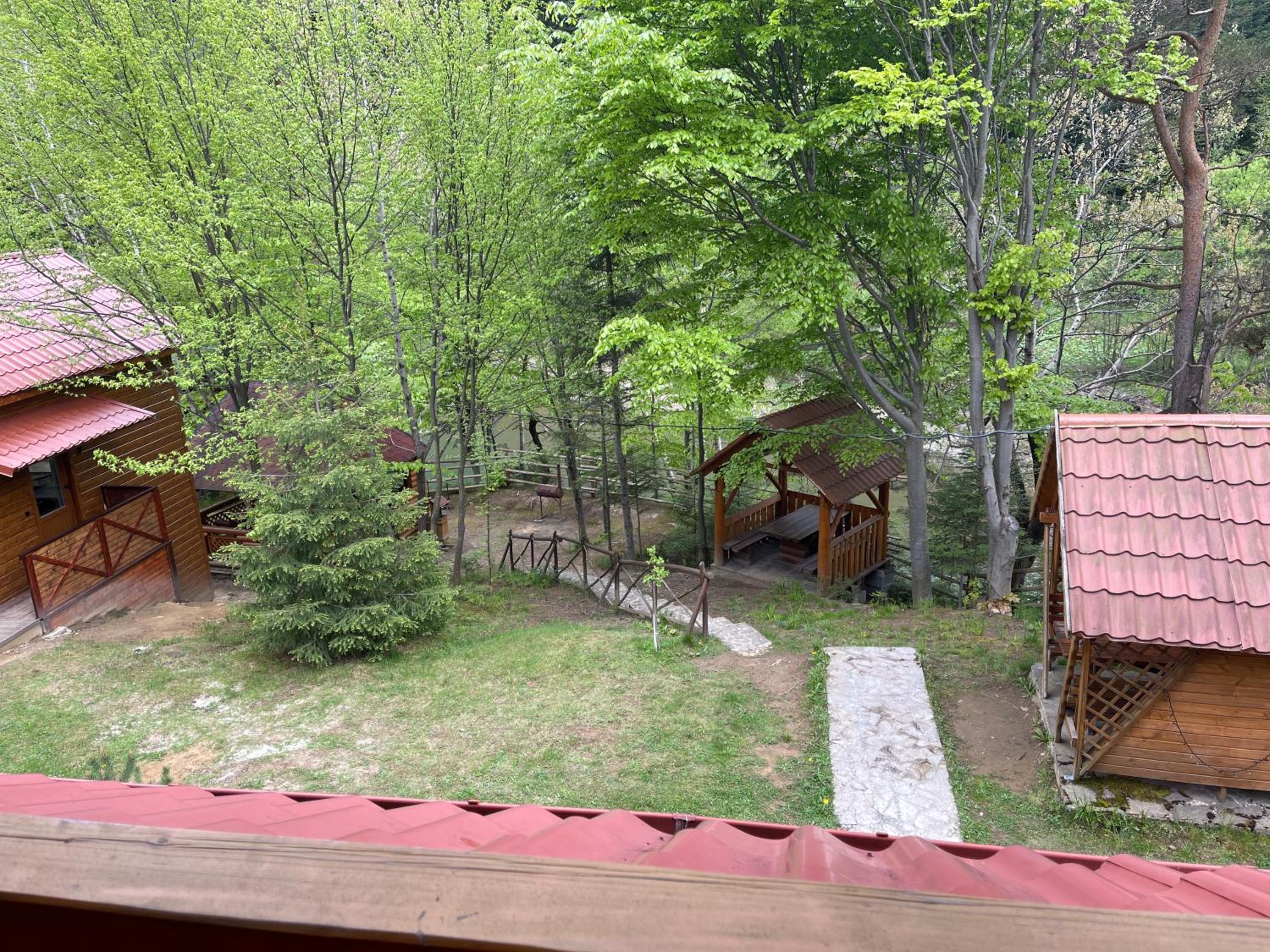 Photo 24