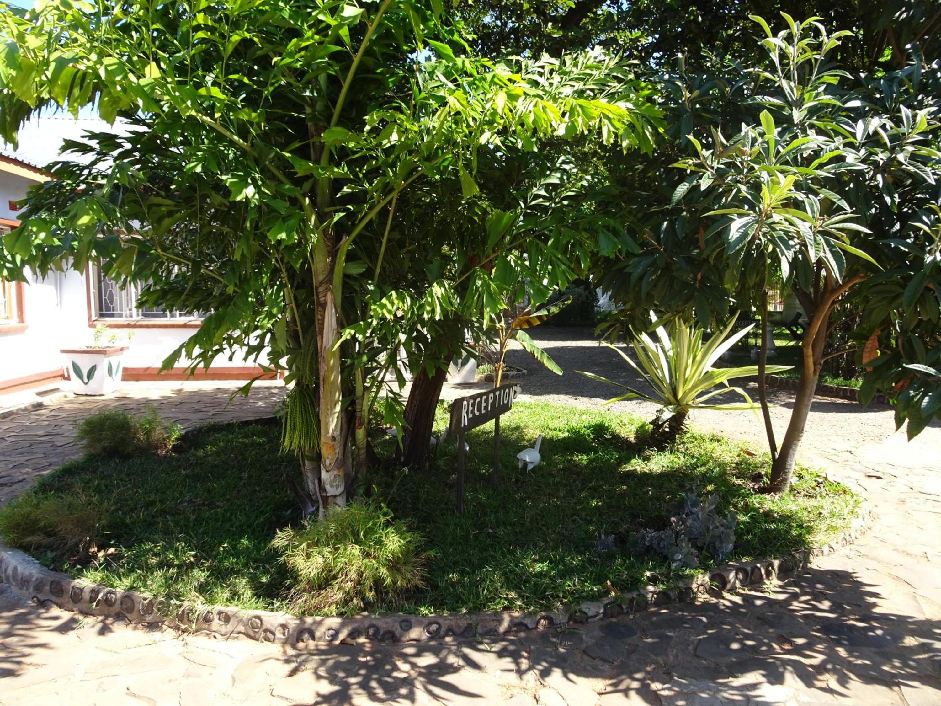 White Rose Lodge