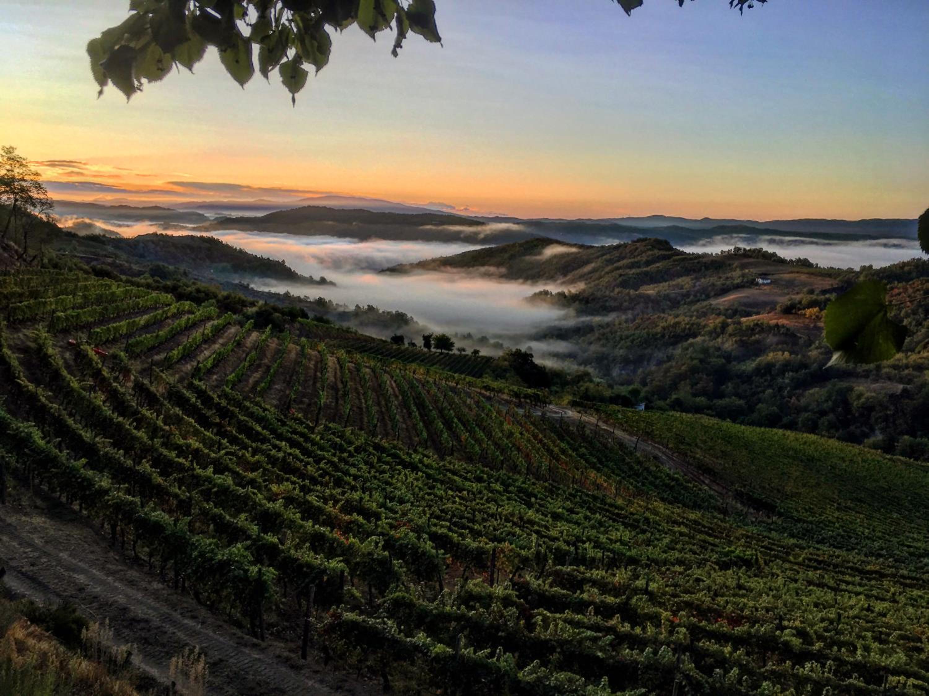 Cascina Bertolotto Wine Resort