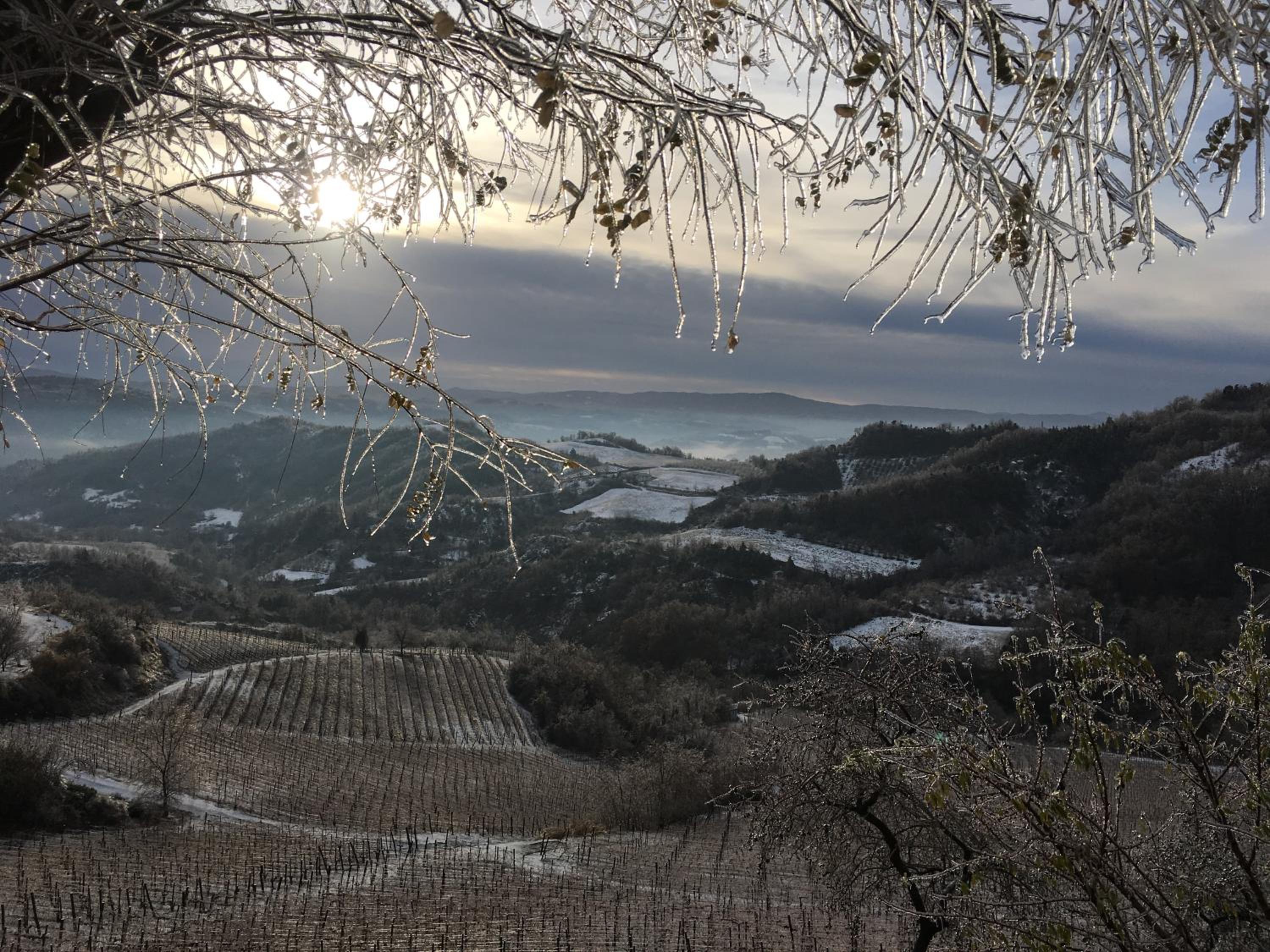 Cascina Bertolotto Wine Resort