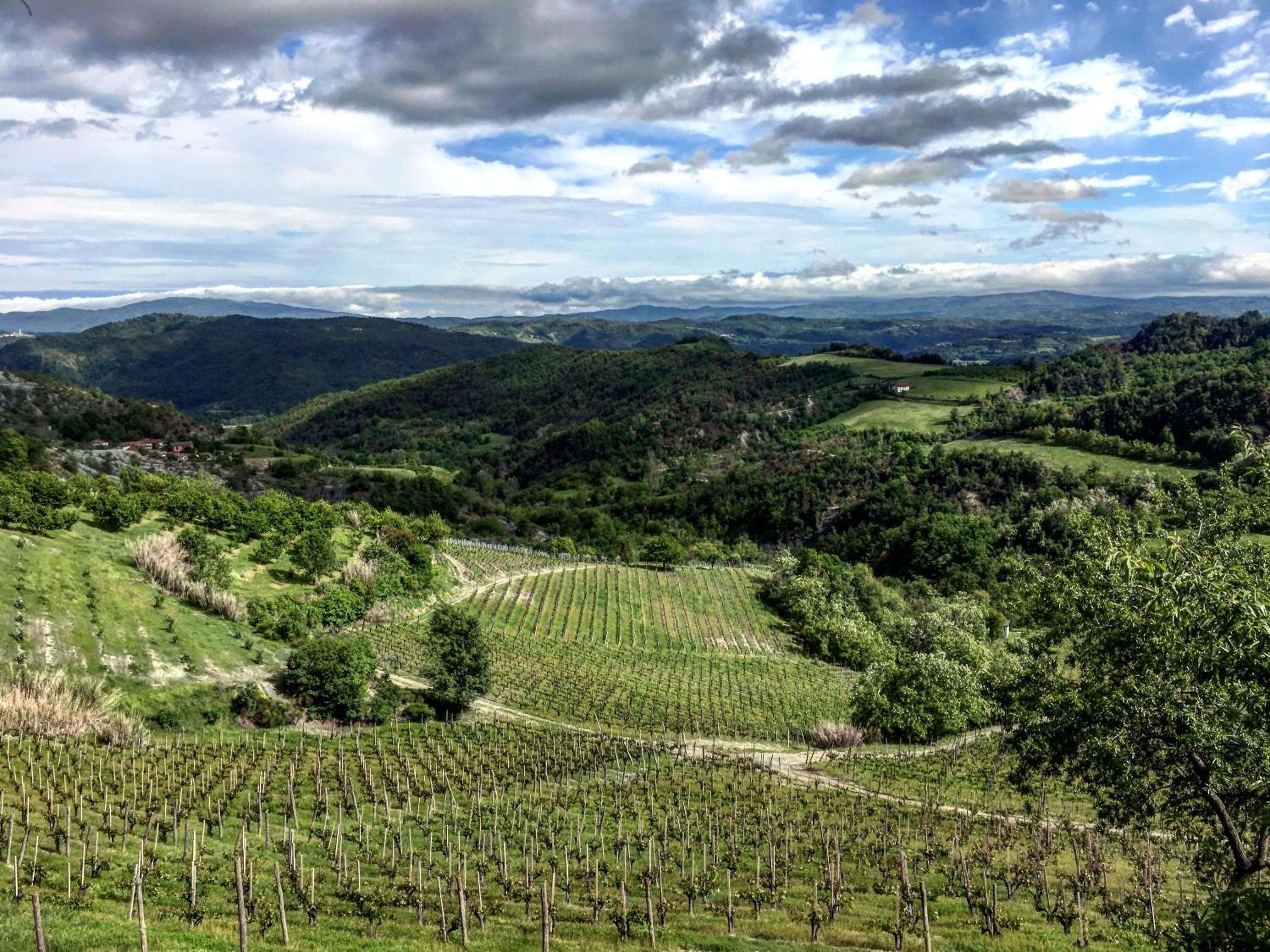 Cascina Bertolotto Wine Resort