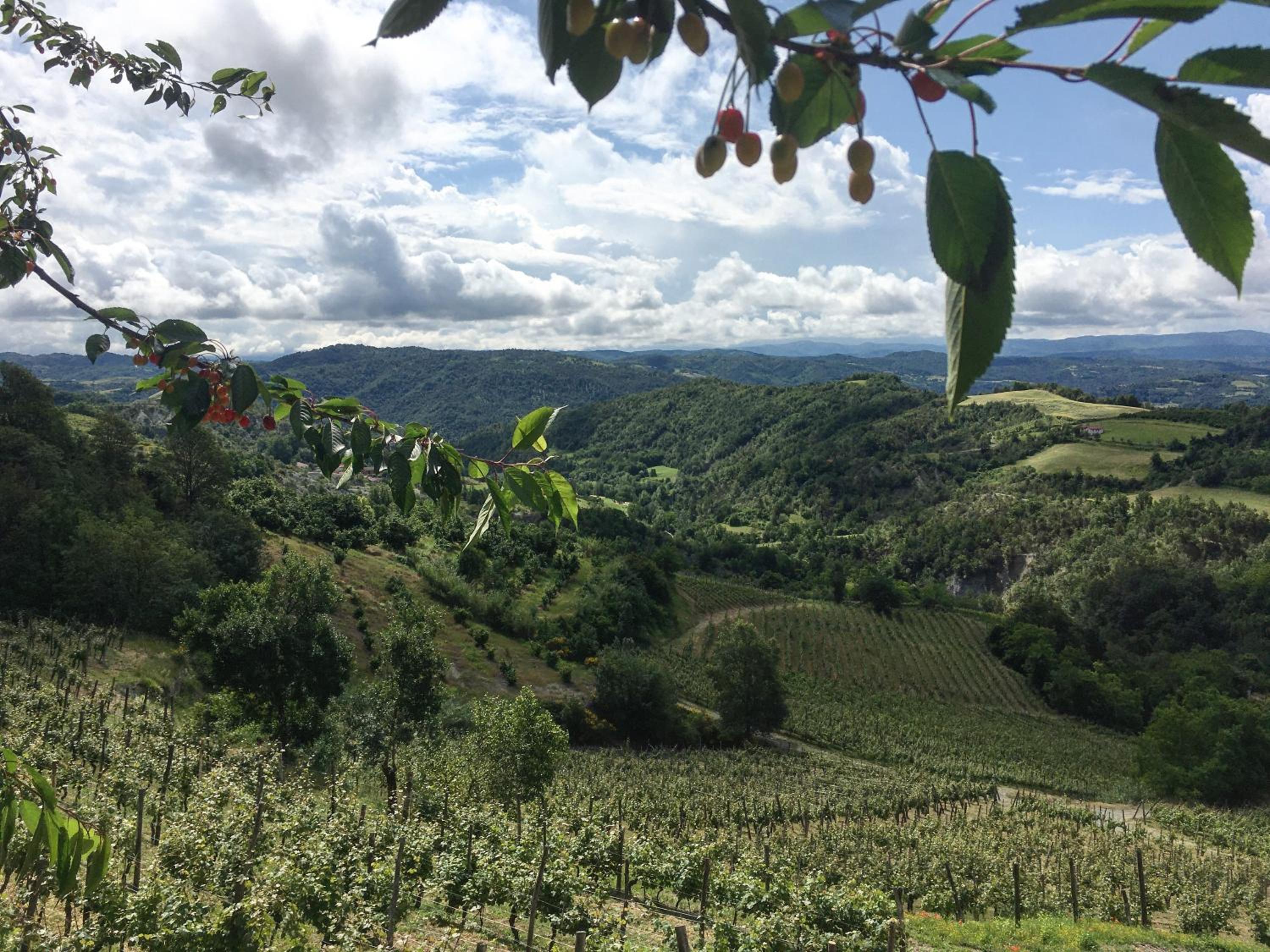 Cascina Bertolotto Wine Resort