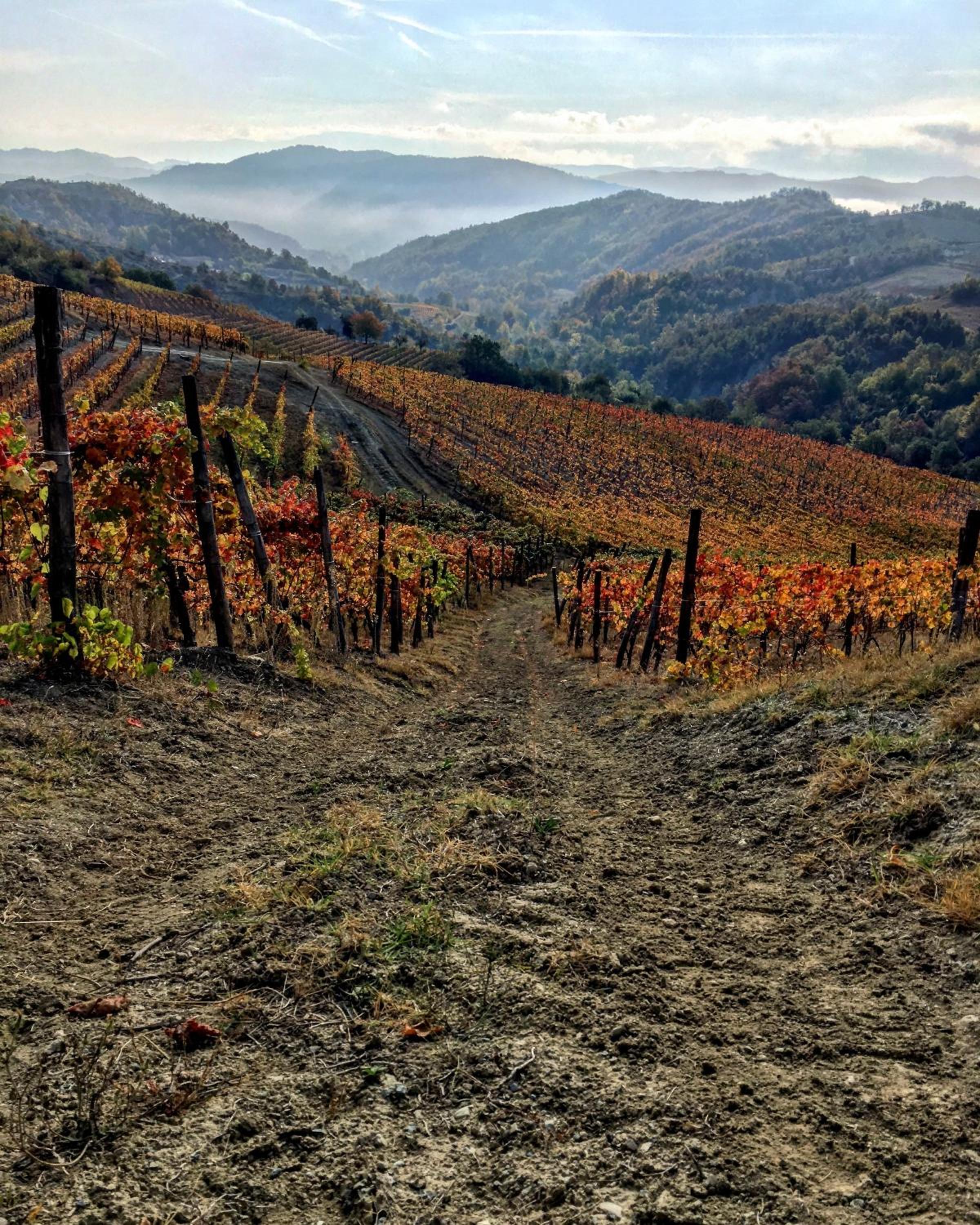 Cascina Bertolotto Wine Resort