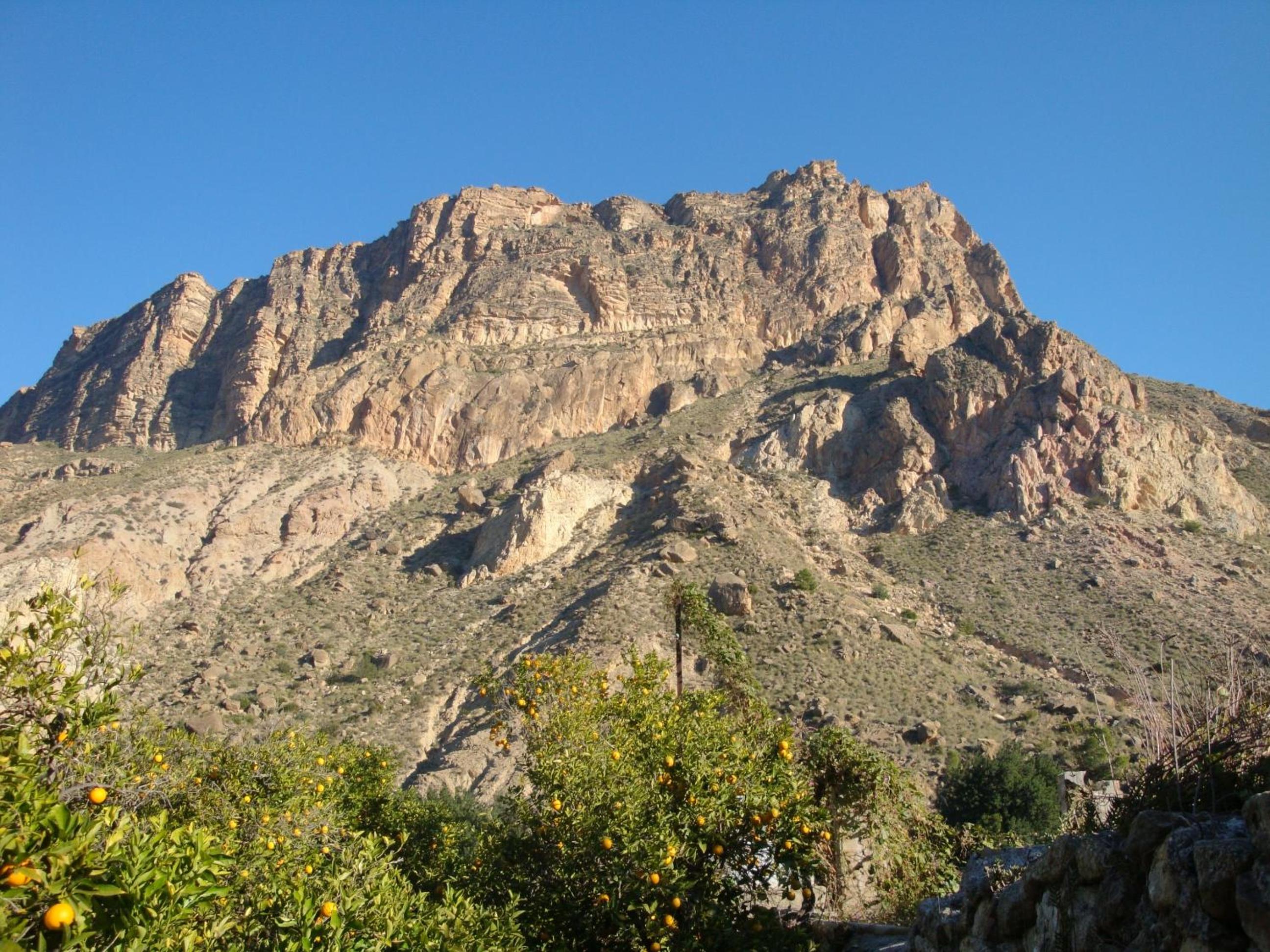 Photo 23