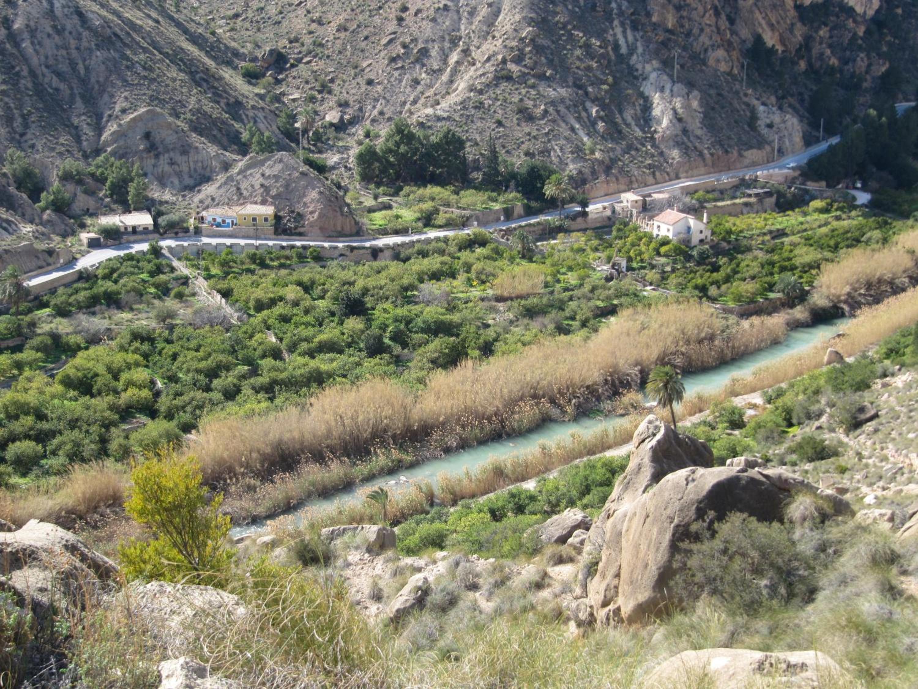 Photo 21