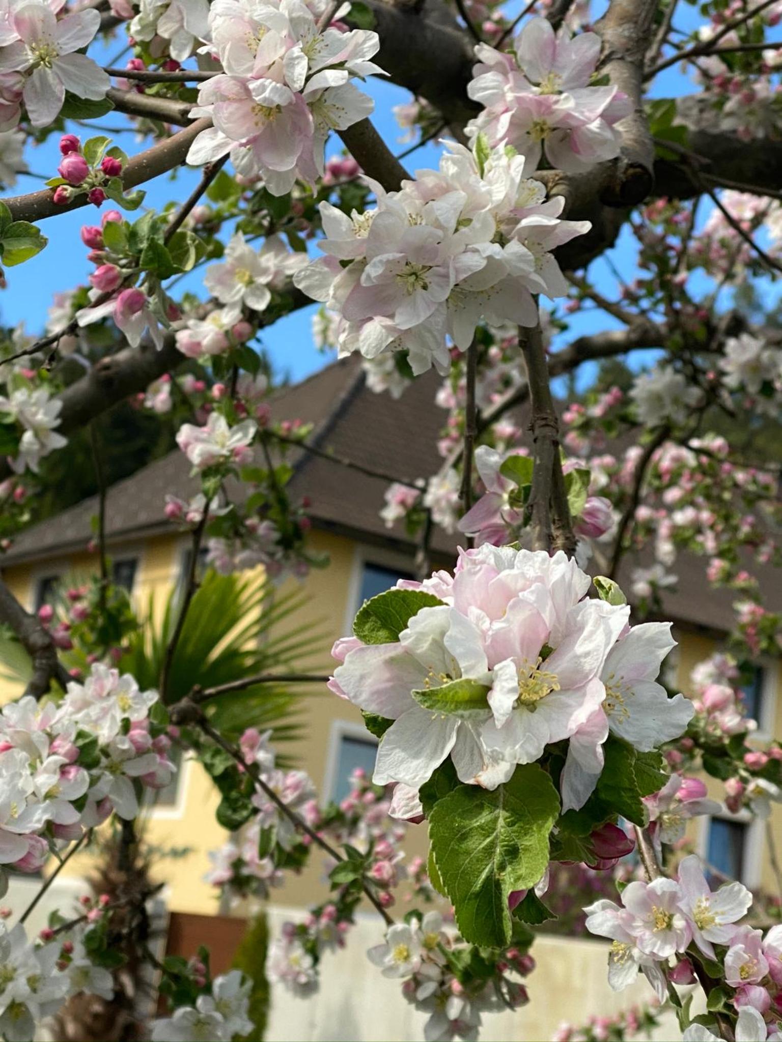 VIII Panorama-Ferienwohnung Petzenblick