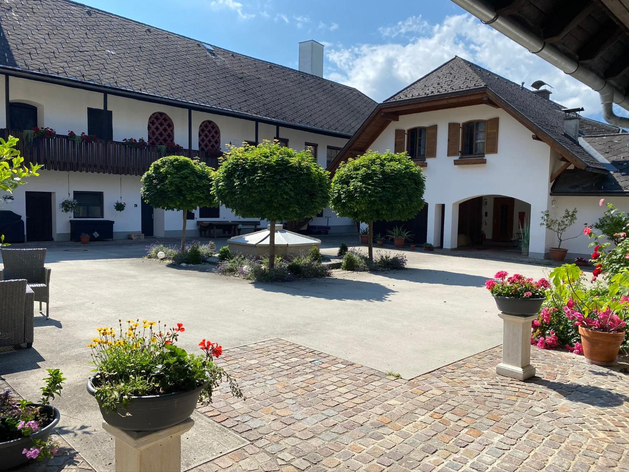 VIII Panorama-Ferienwohnung Petzenblick