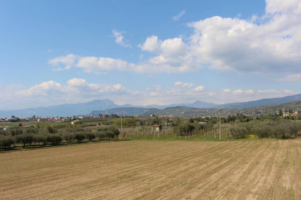 Photo 28