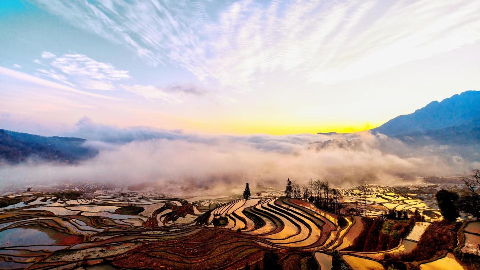 Tian Yuan Mu Ge Homestay
