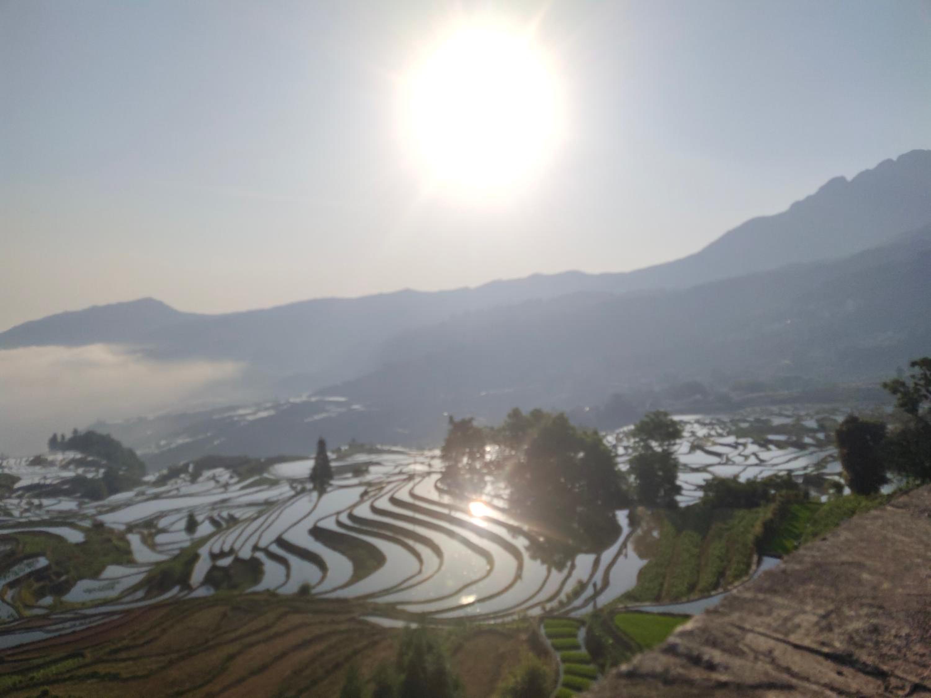 Tian Yuan Mu Ge Homestay