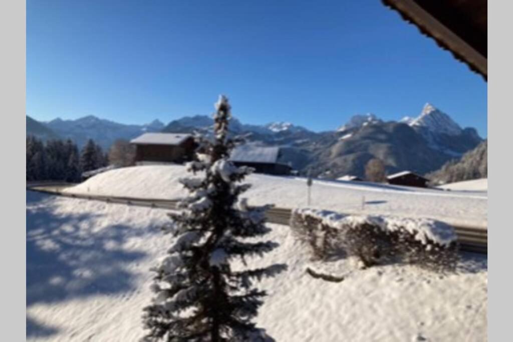 Chalet Soldanella 10 guests Gstaad