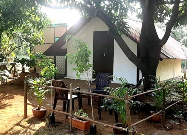 Green Environment Stay view 4