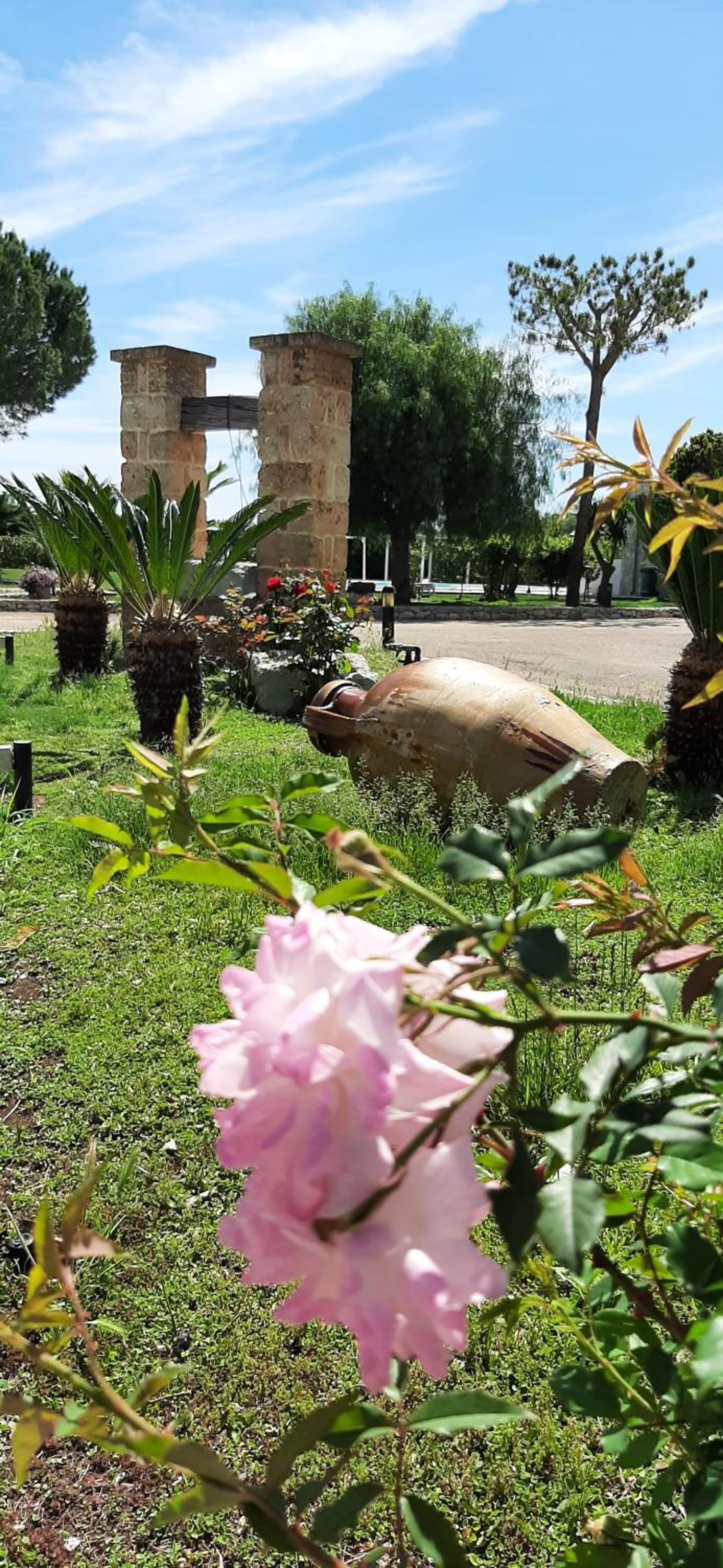Masseria San Nicola B&B