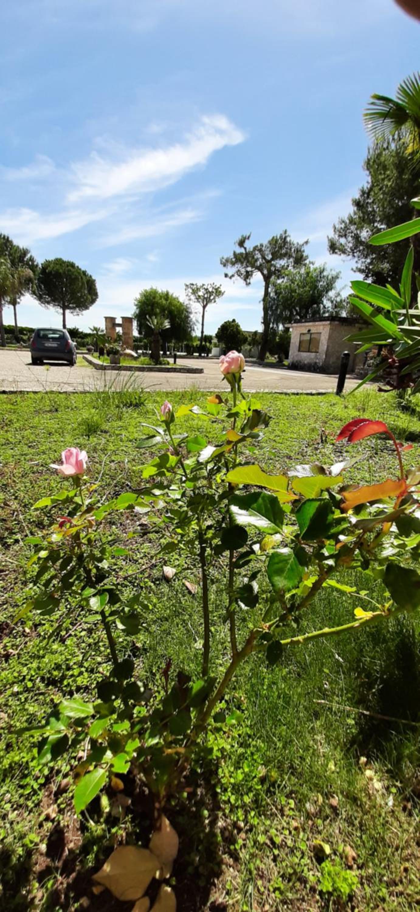 Masseria San Nicola B&B