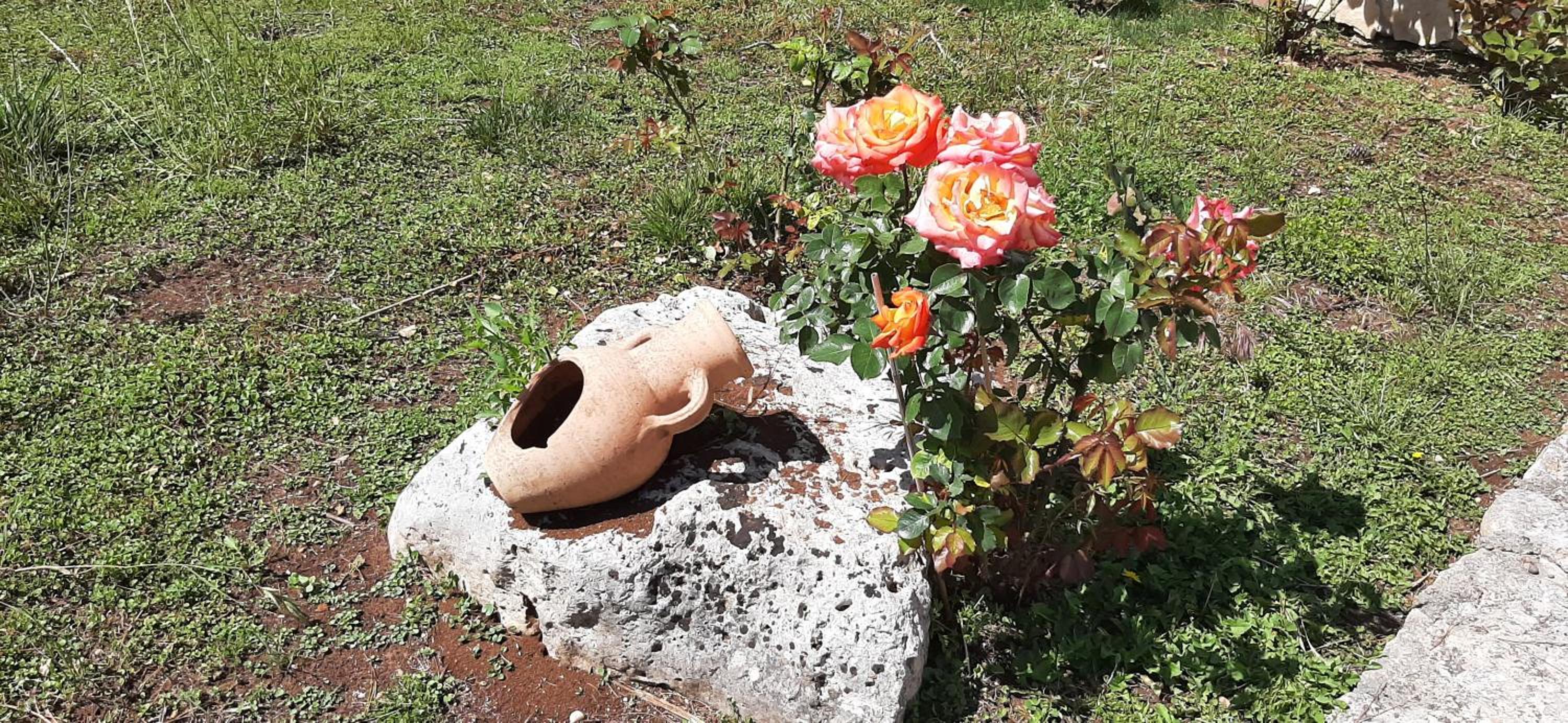 Masseria San Nicola B&B