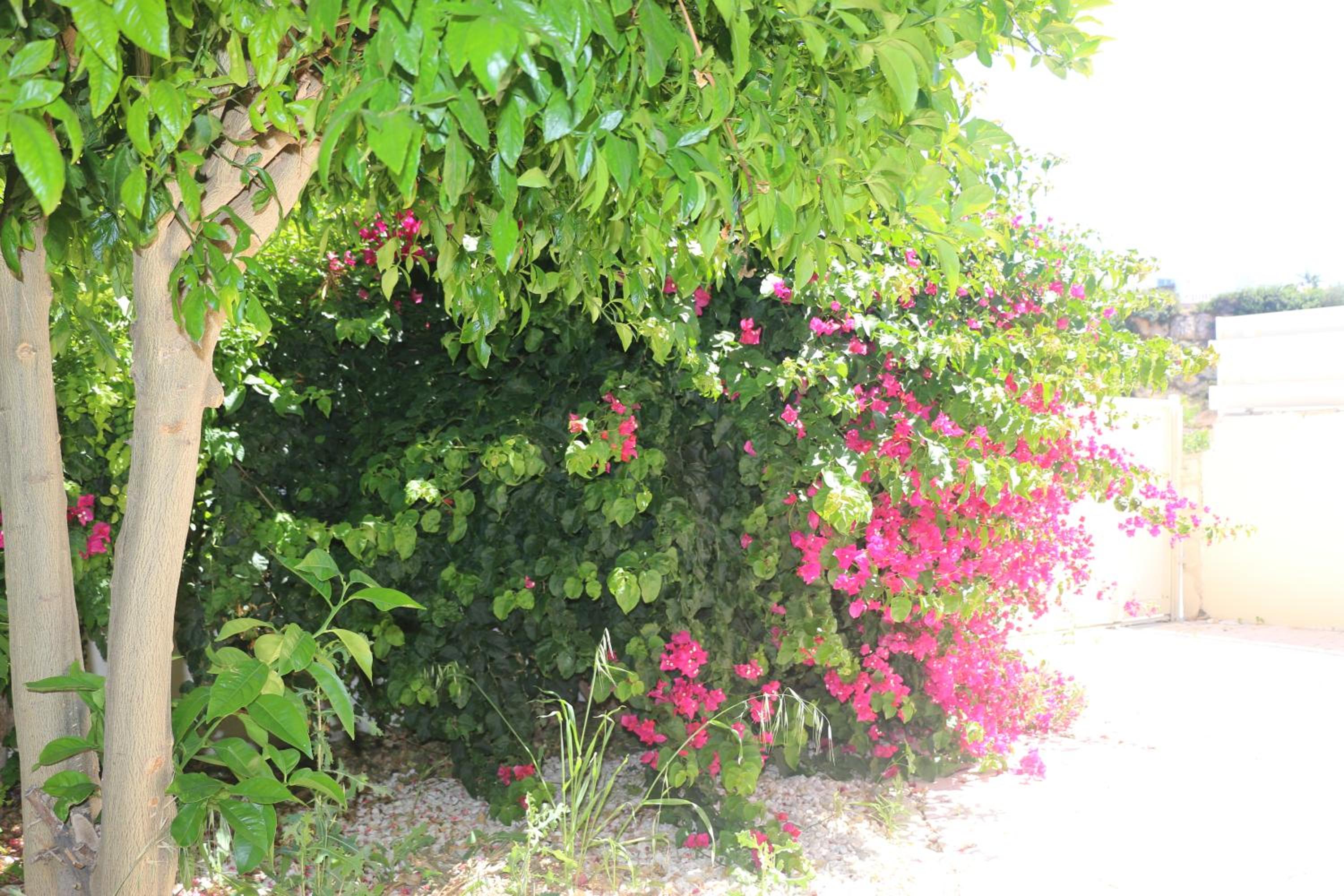 Photo 33