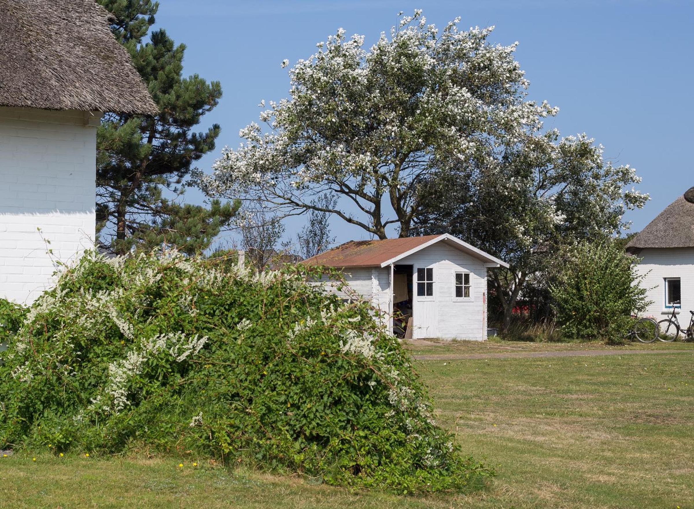 Haus Bräätlun Ferienwohnung Bräätlun 3