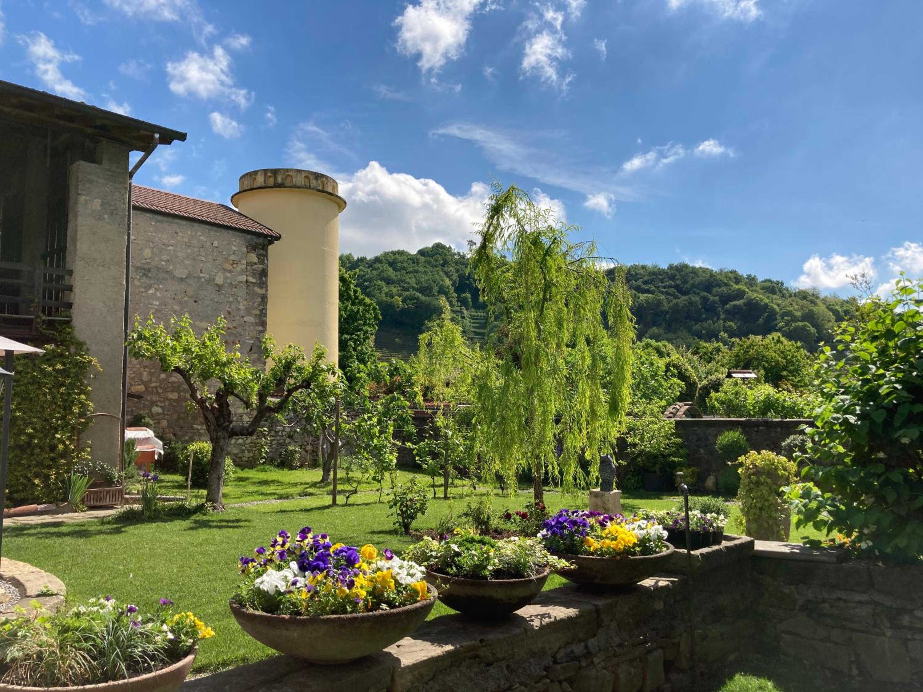 B&B Corte Seguini view 3