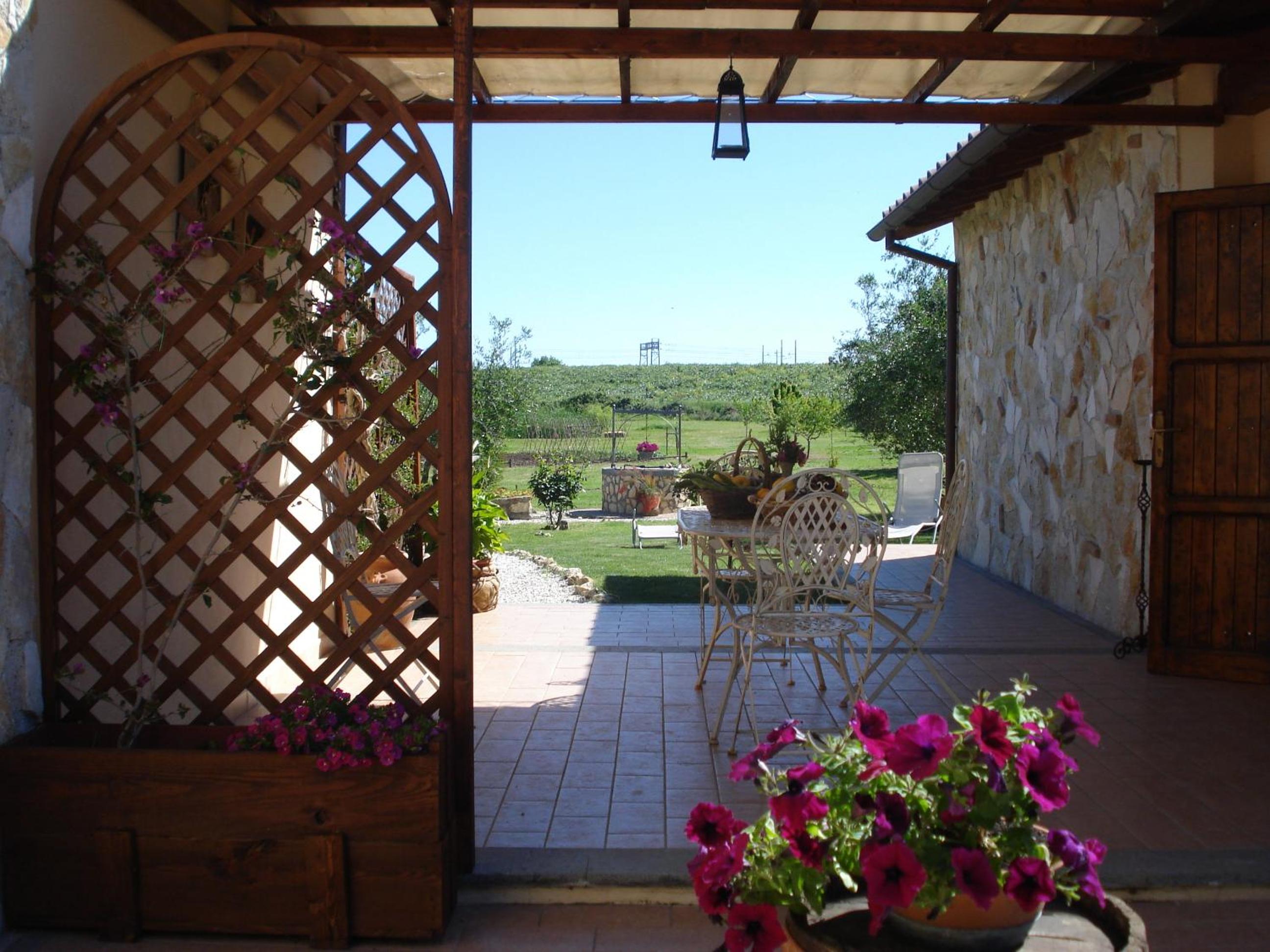 Photo 8