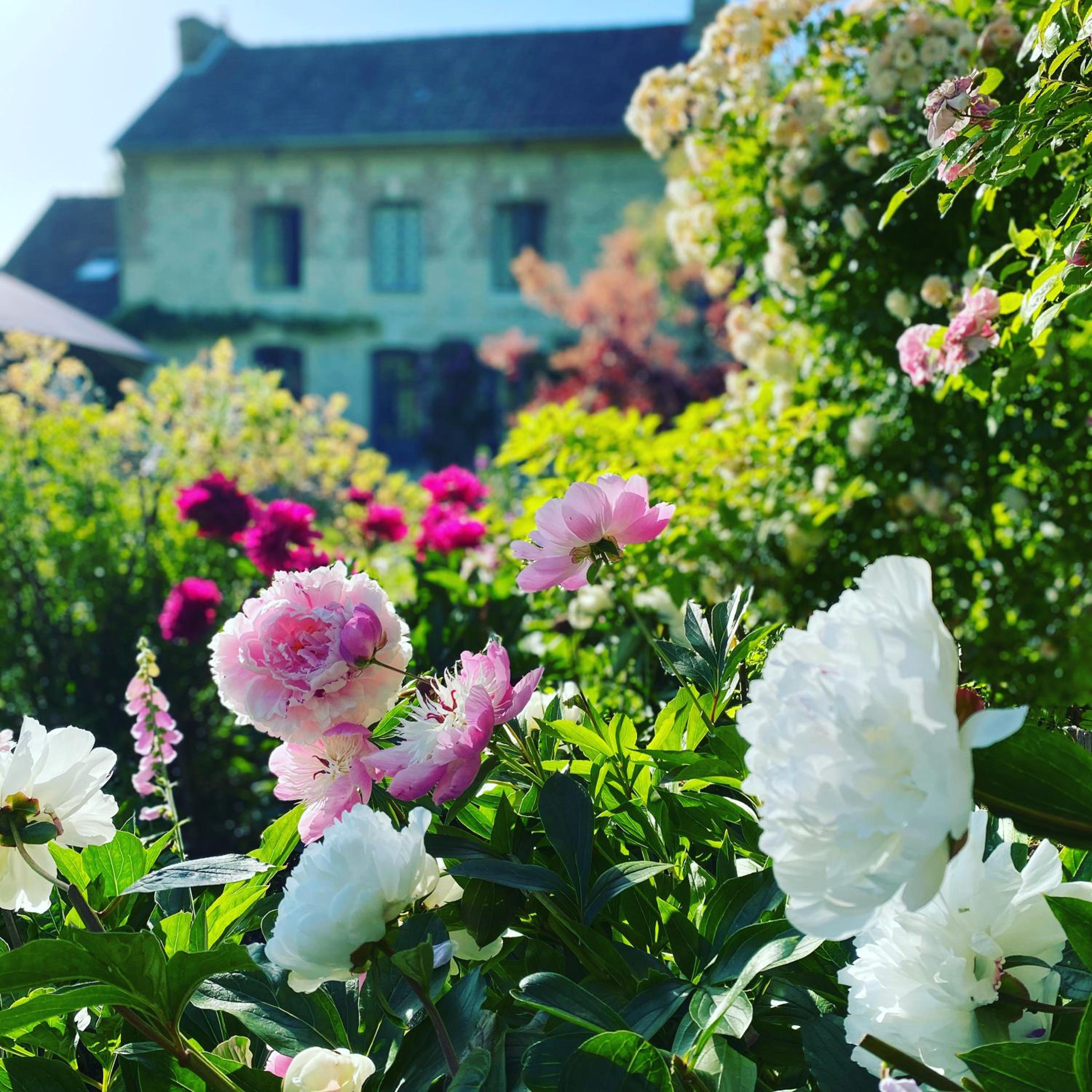 La Maison d'Aline - Honfleur - Maison d'Hôte De Charme A La Normande view 3