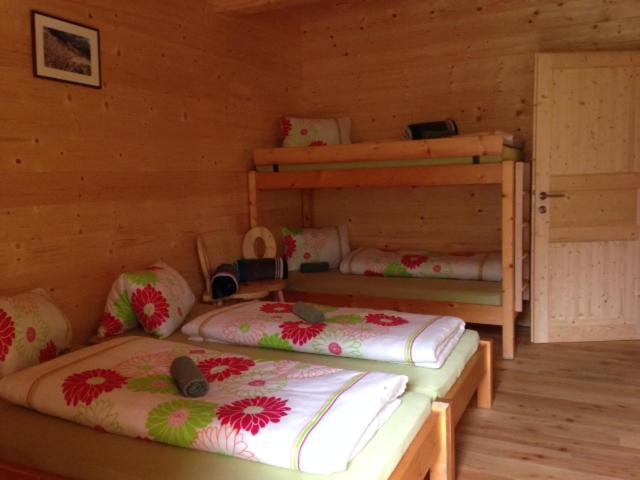 Binsalm- Schutzhütte