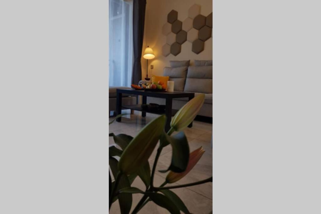 Modern Chic view 5