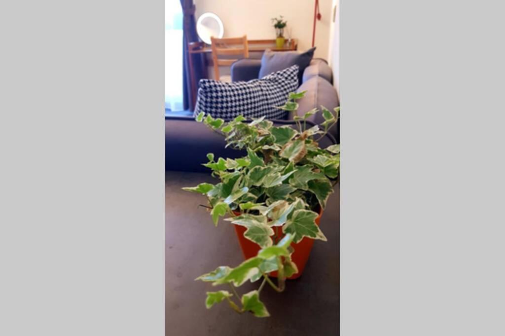 Photo 21