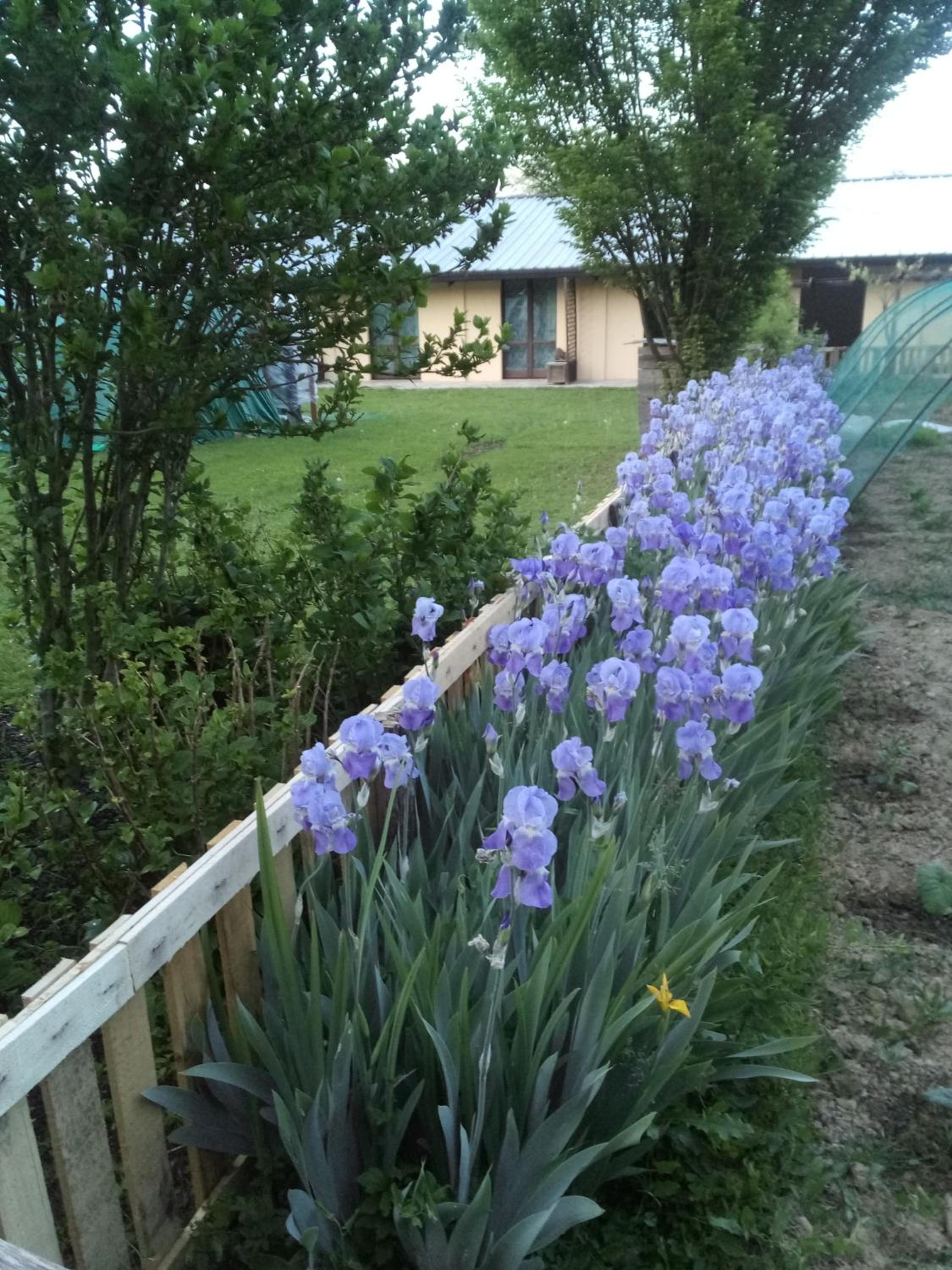 Photo 24