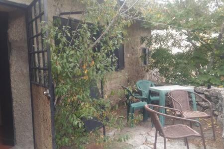 Photo 25