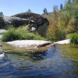 Photo 29