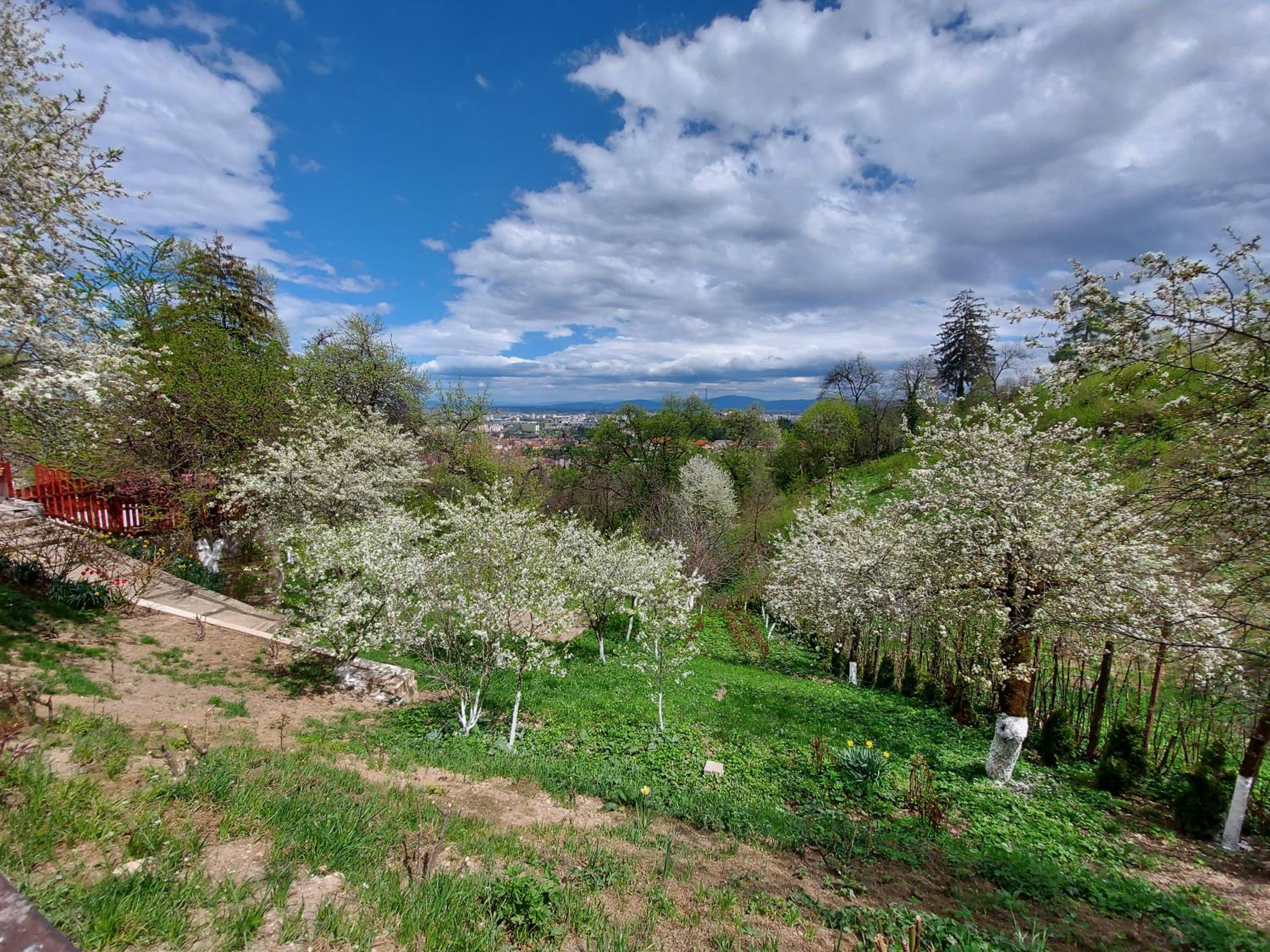 Apartament Matei view 4