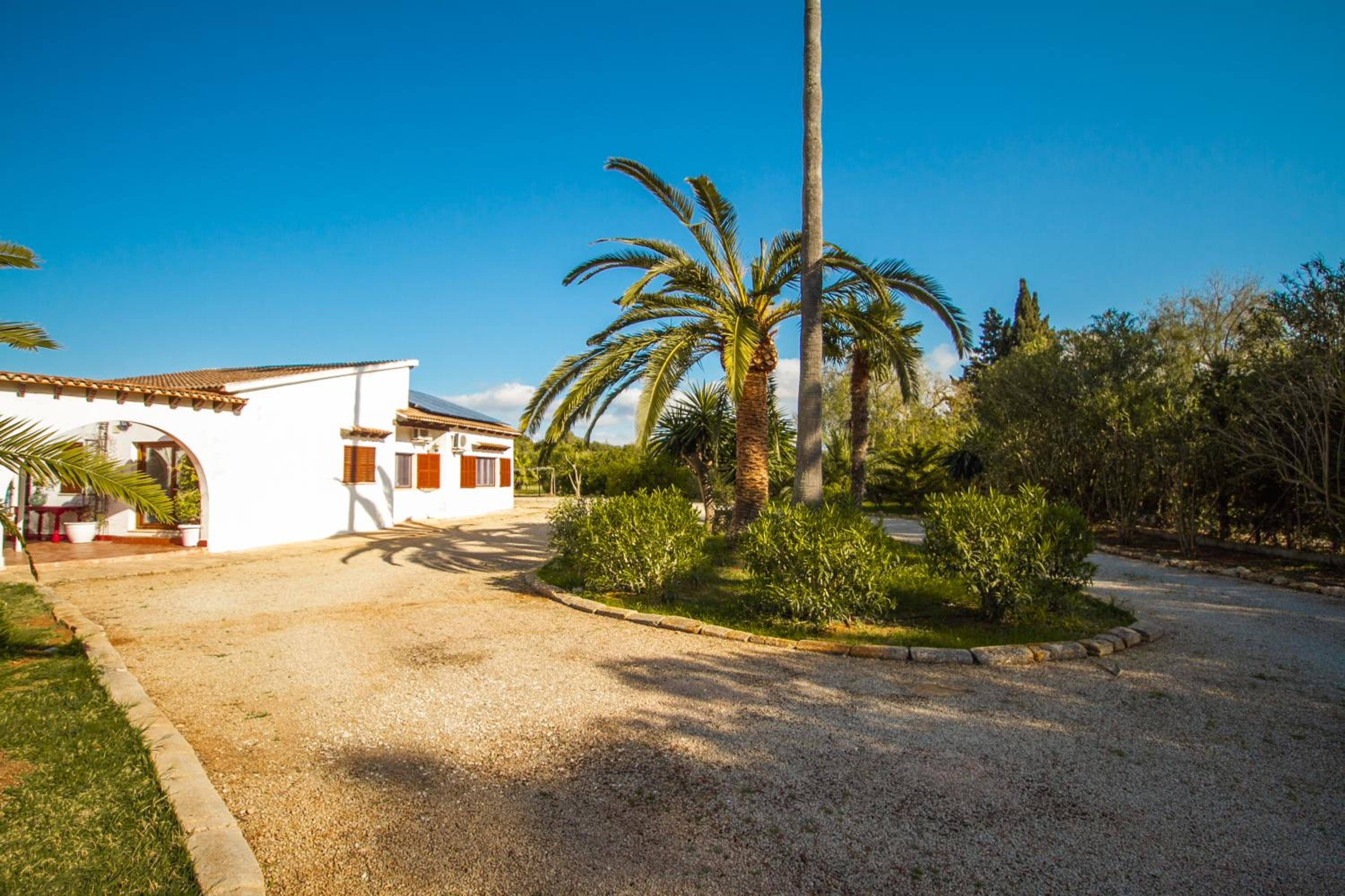 Villa Aladin Resort Lujo