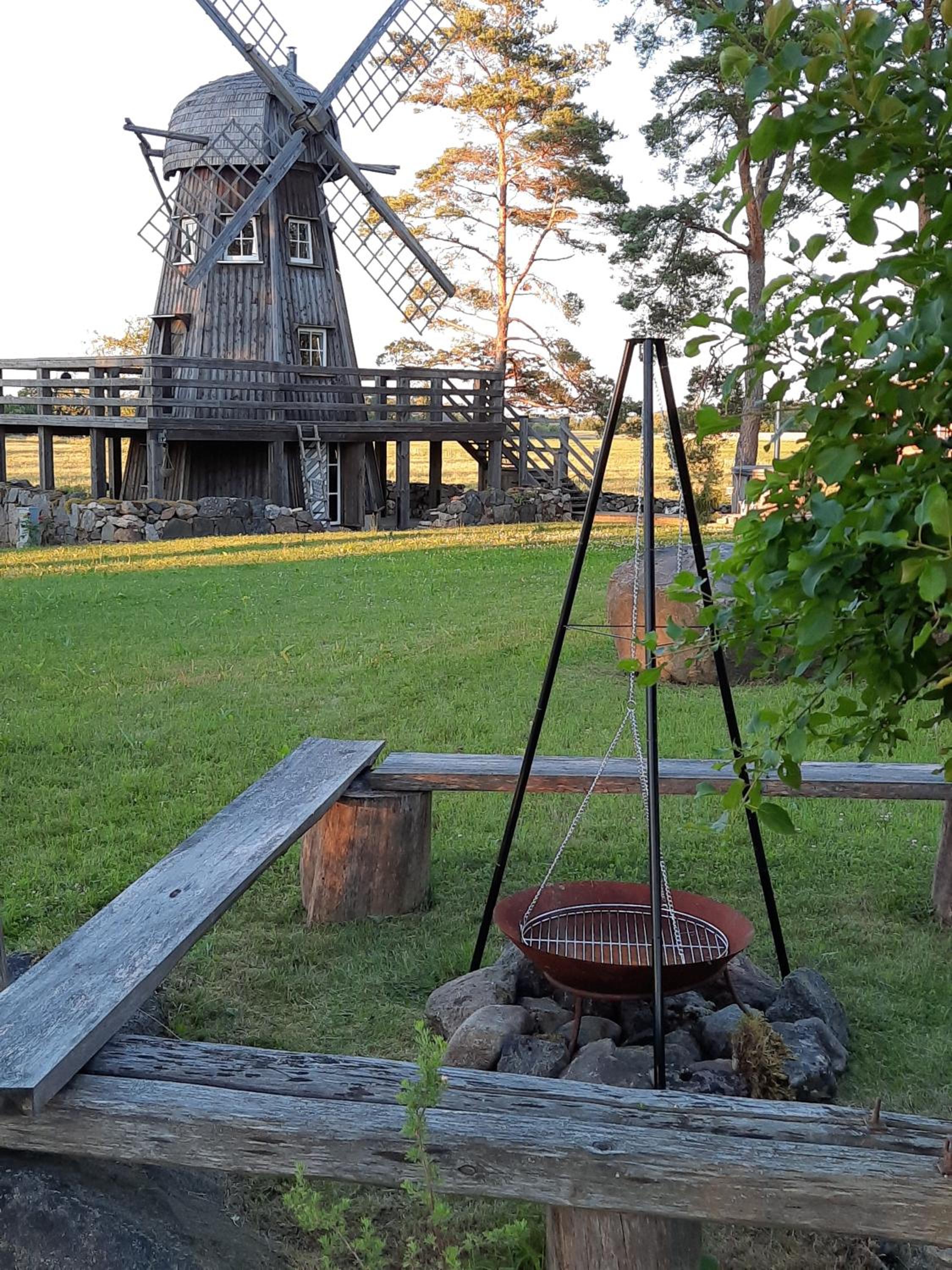 Photo 46