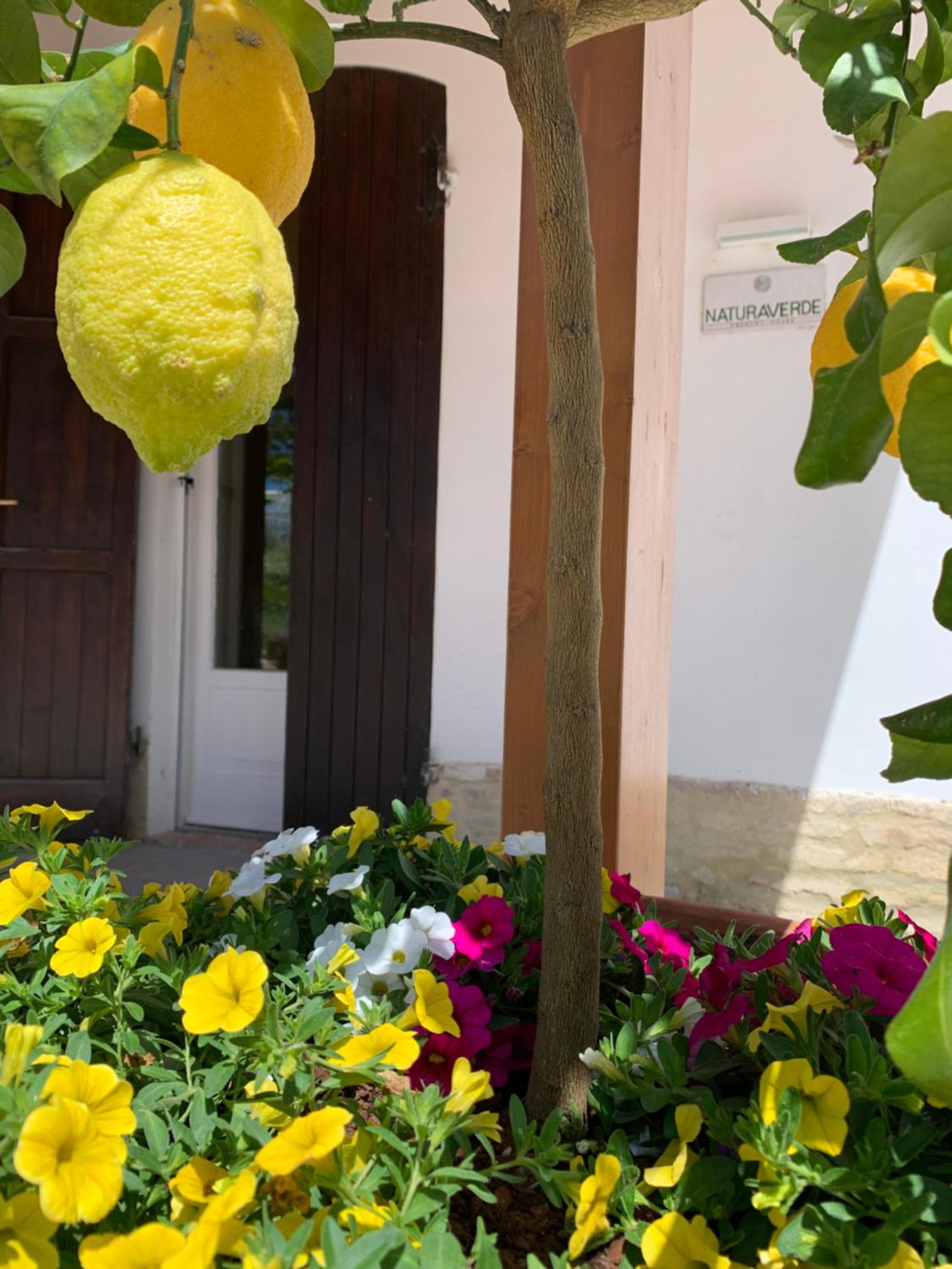 Naturaverde Country House