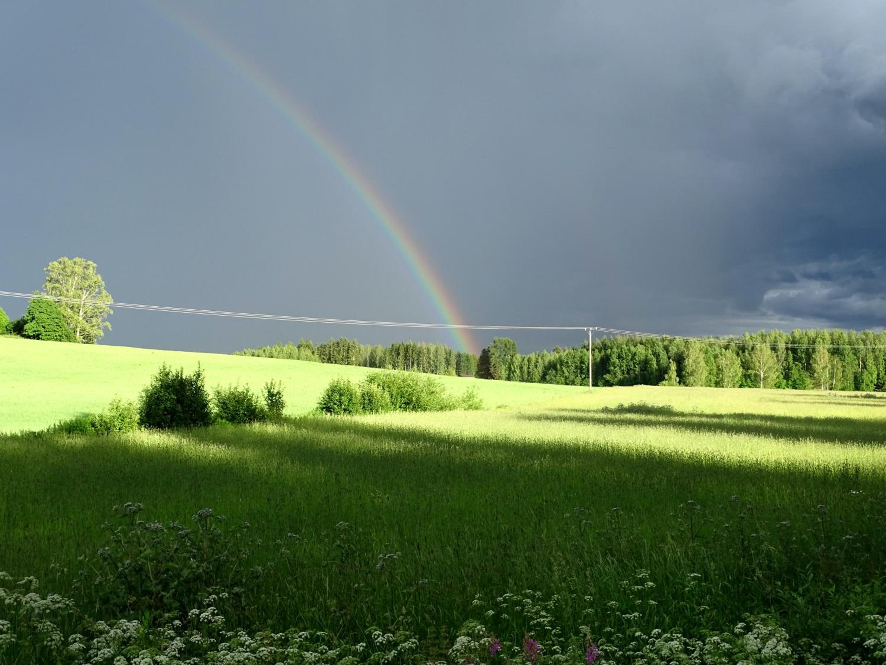 Photo 25