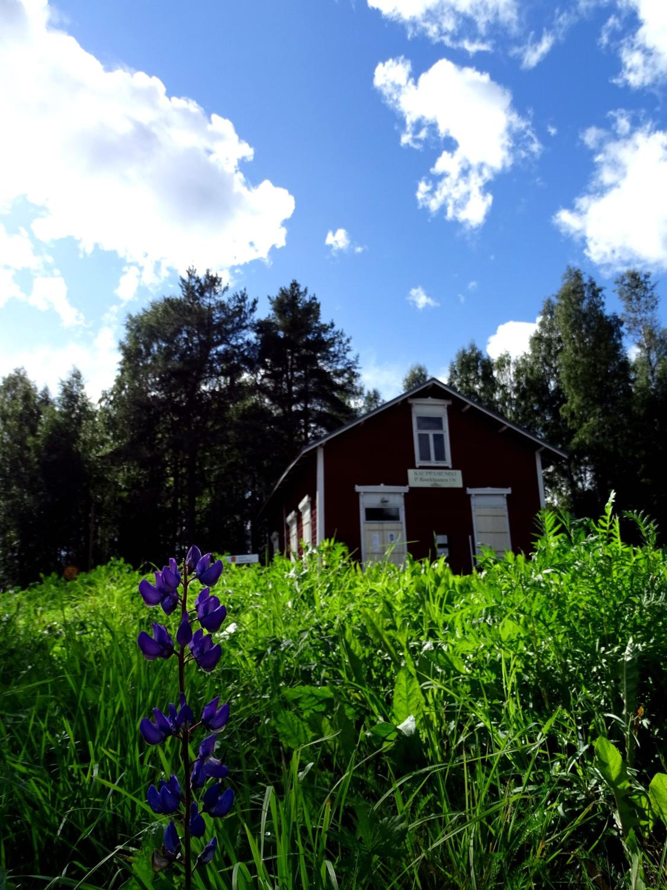 Photo 26