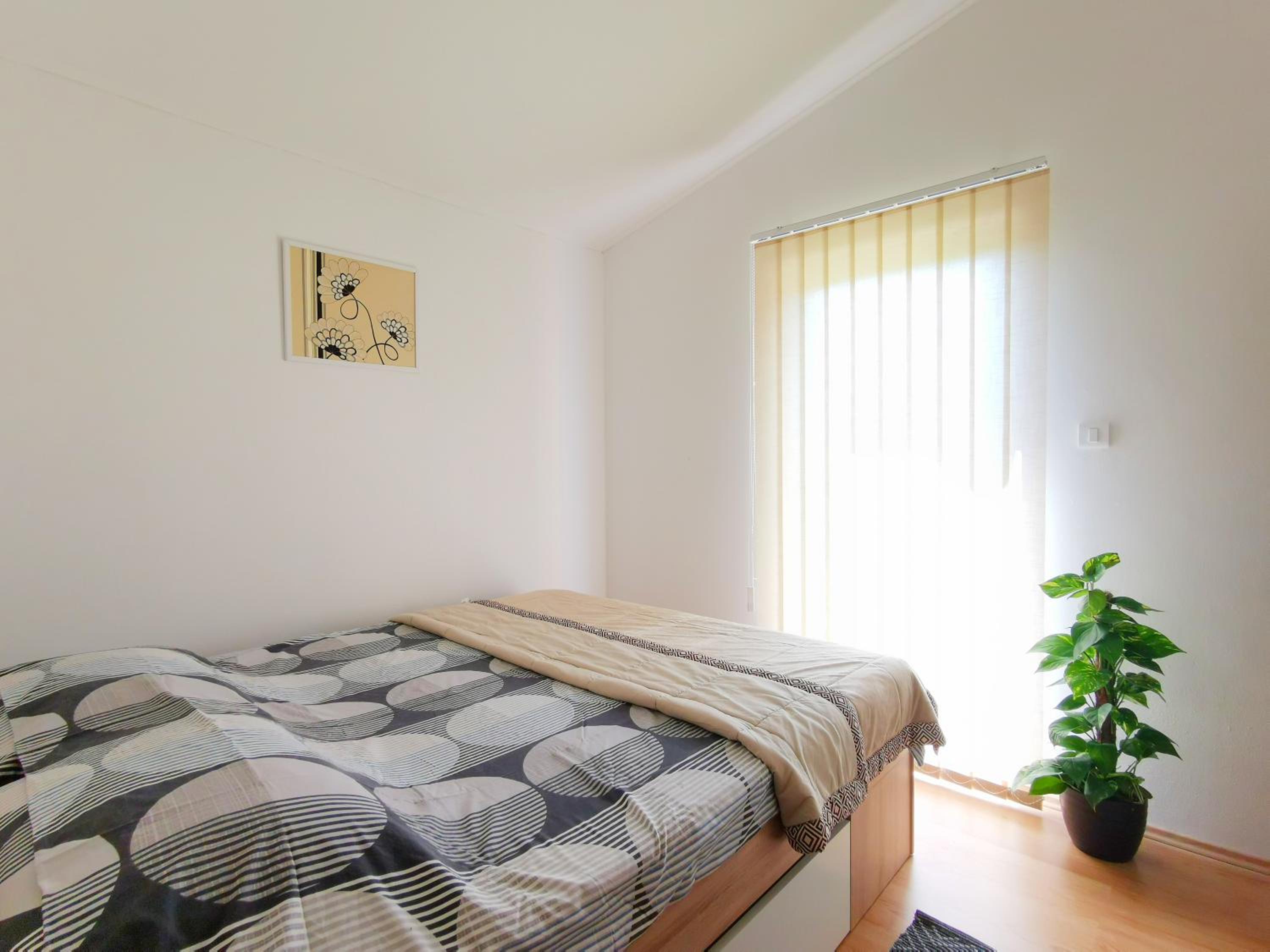 Vidas Nela - Holiday House