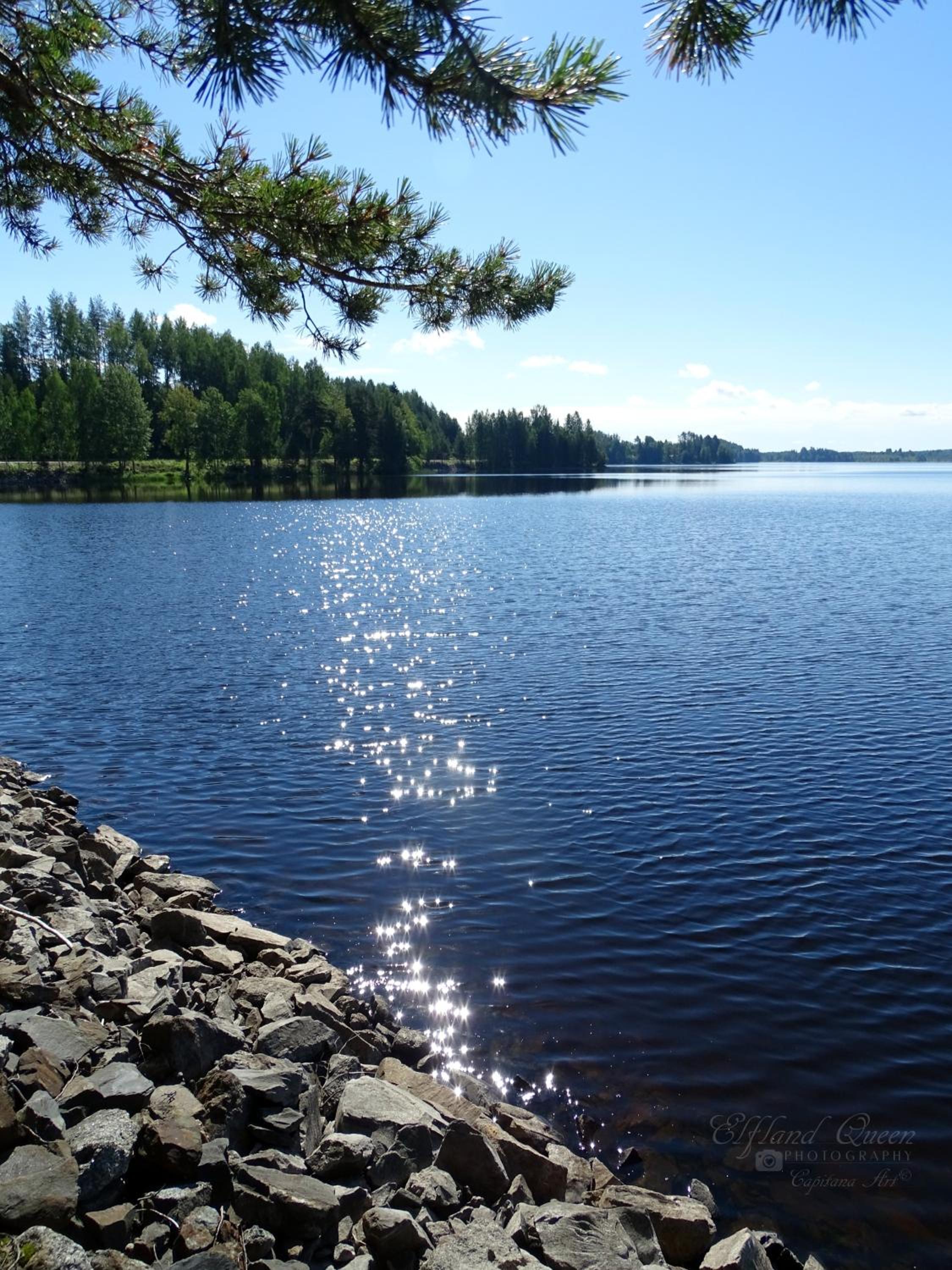 Photo 29