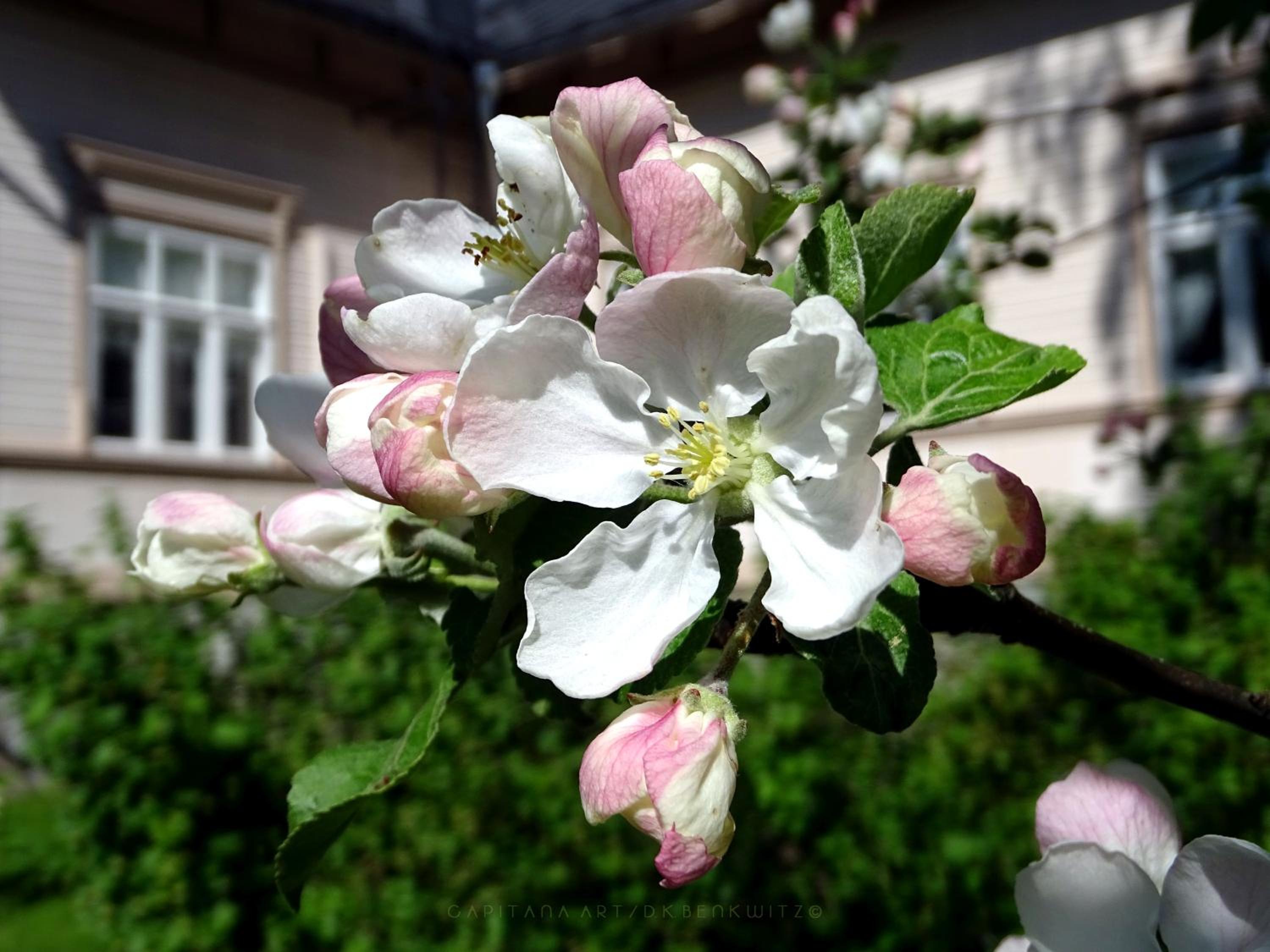 Photo 35