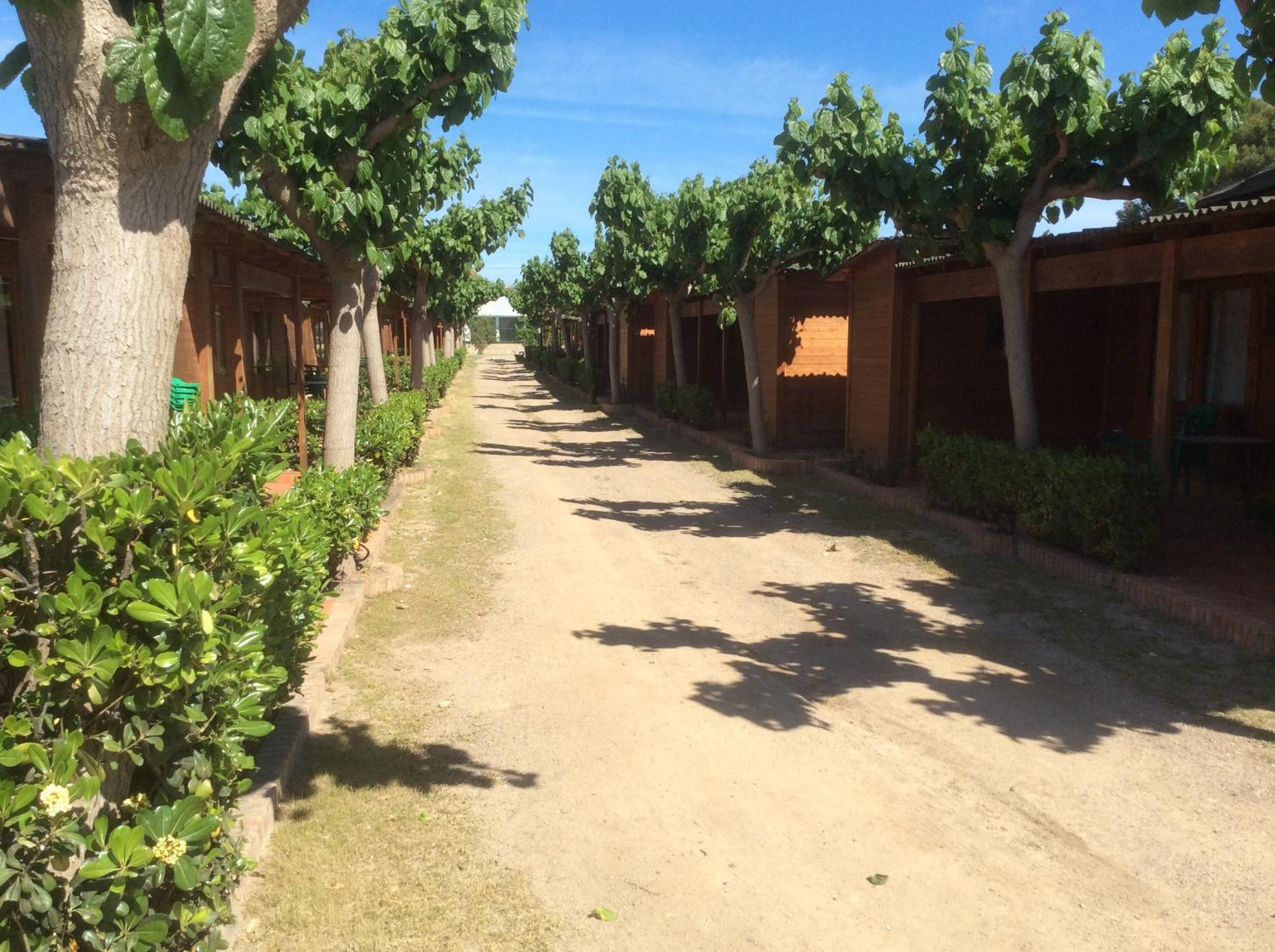 Camping Playa y Fiesta