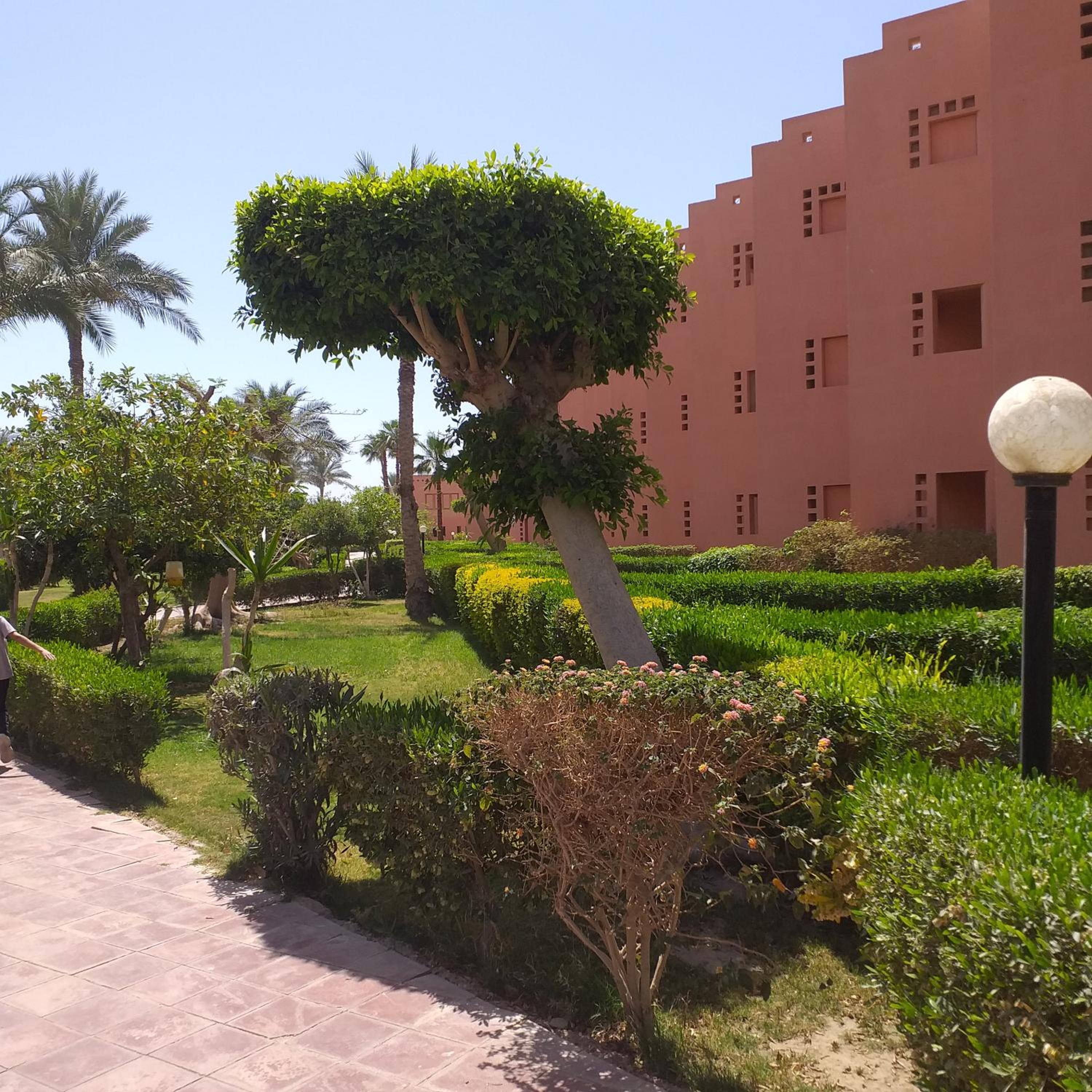 Photo 46