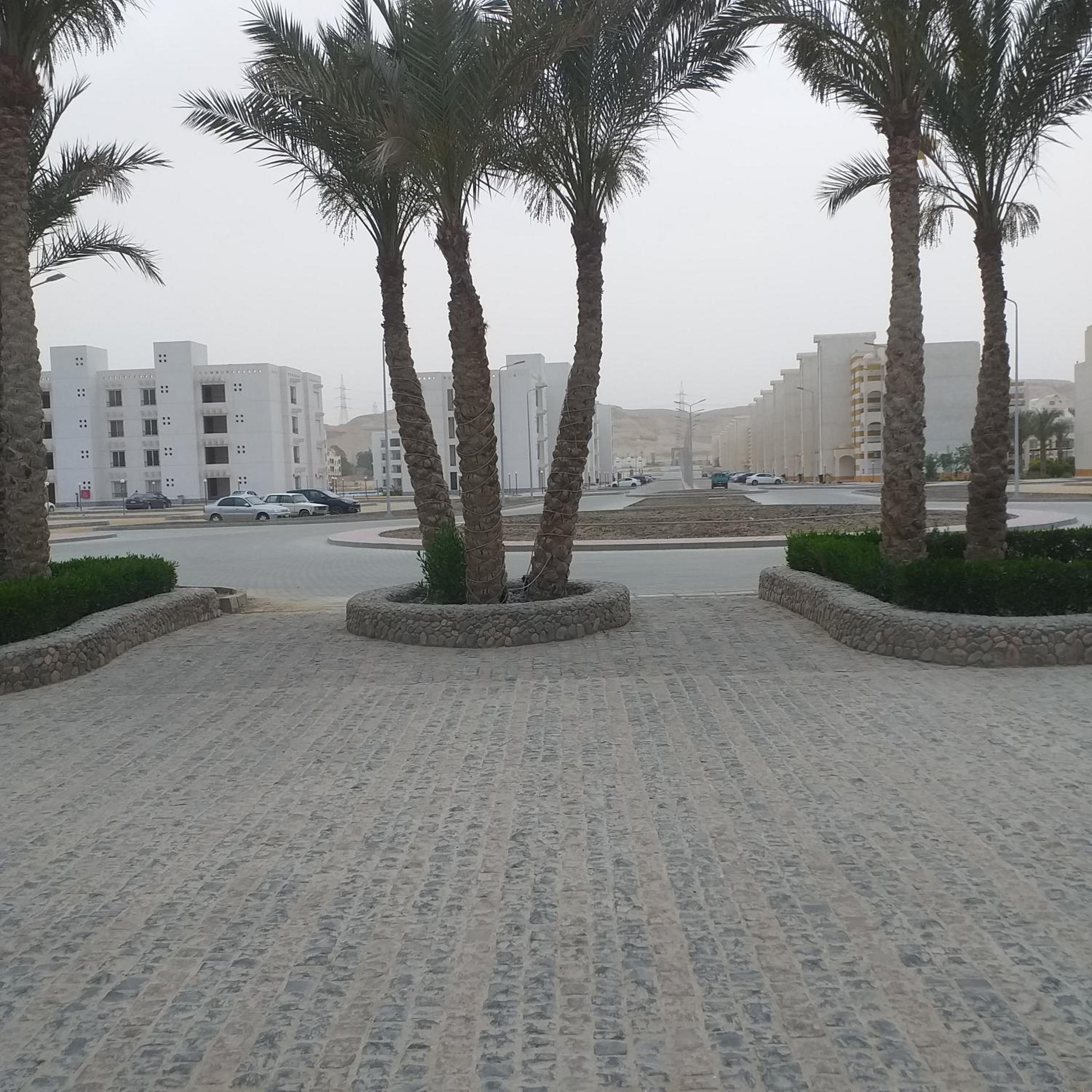 Photo 52