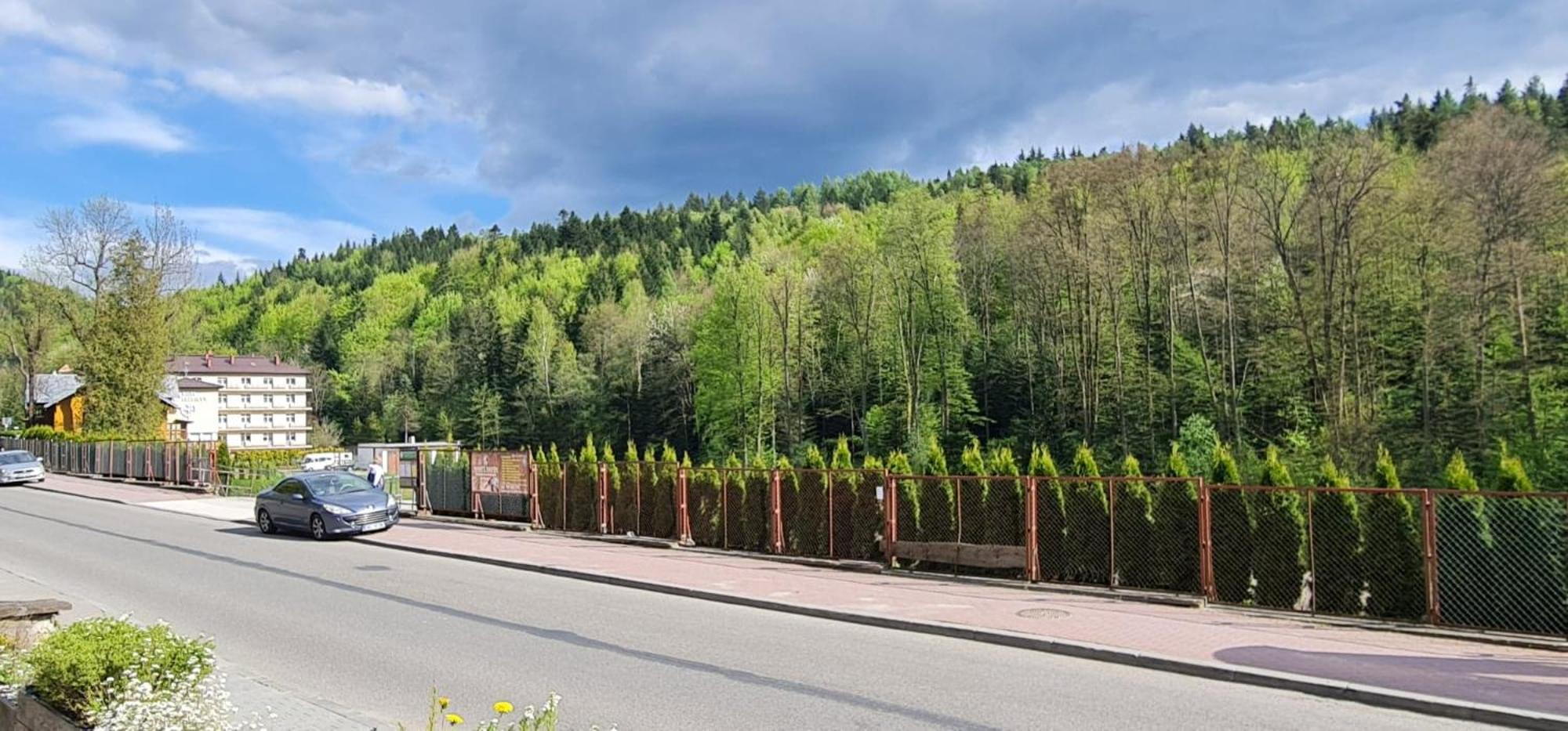 Kasztelanka view 5